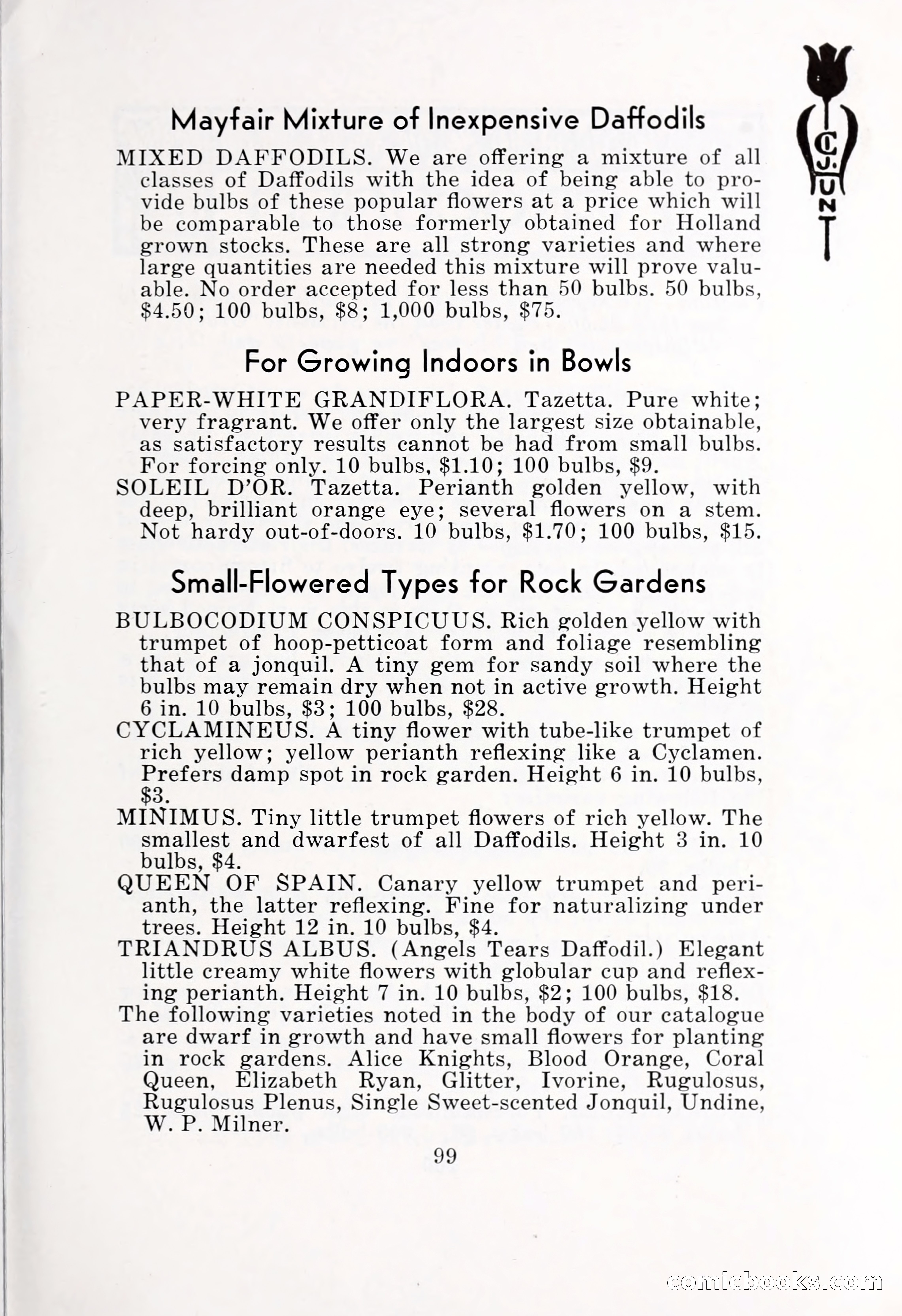 Blue Book of Bulbs, 1932 — page 104 of 121