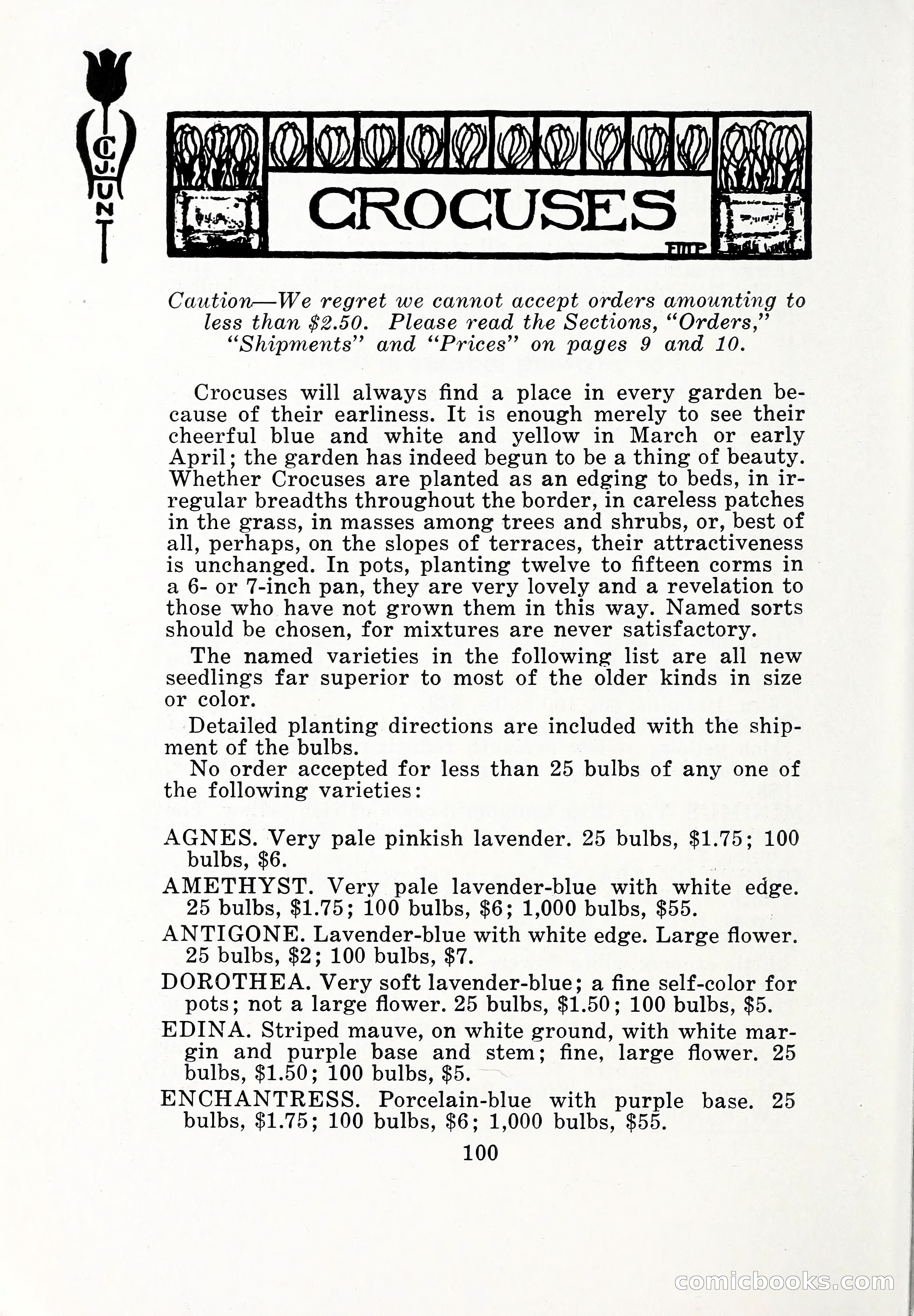 Blue Book of Bulbs, 1932 — page 105 of 121