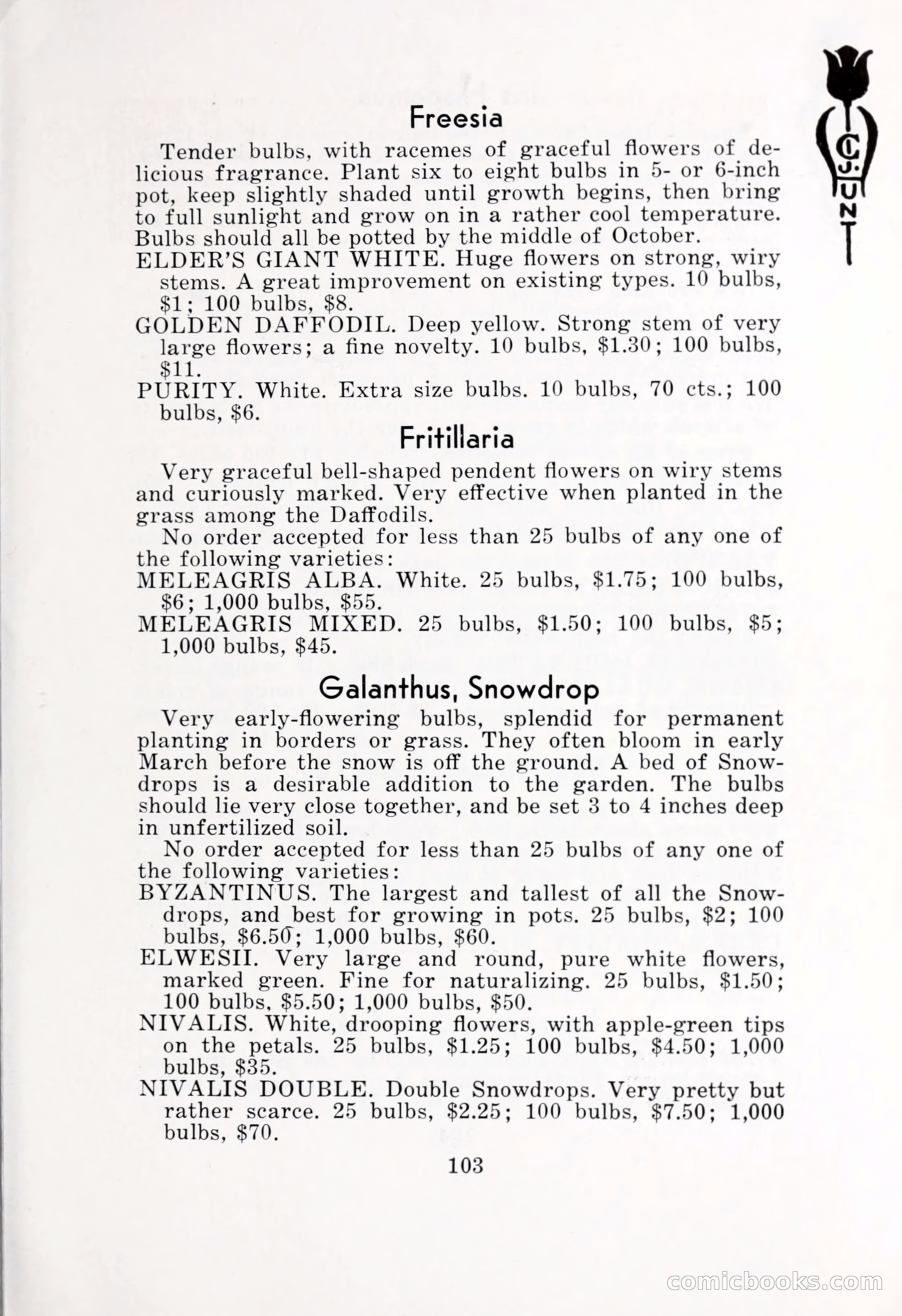 Blue Book of Bulbs, 1932 — page 108 of 121