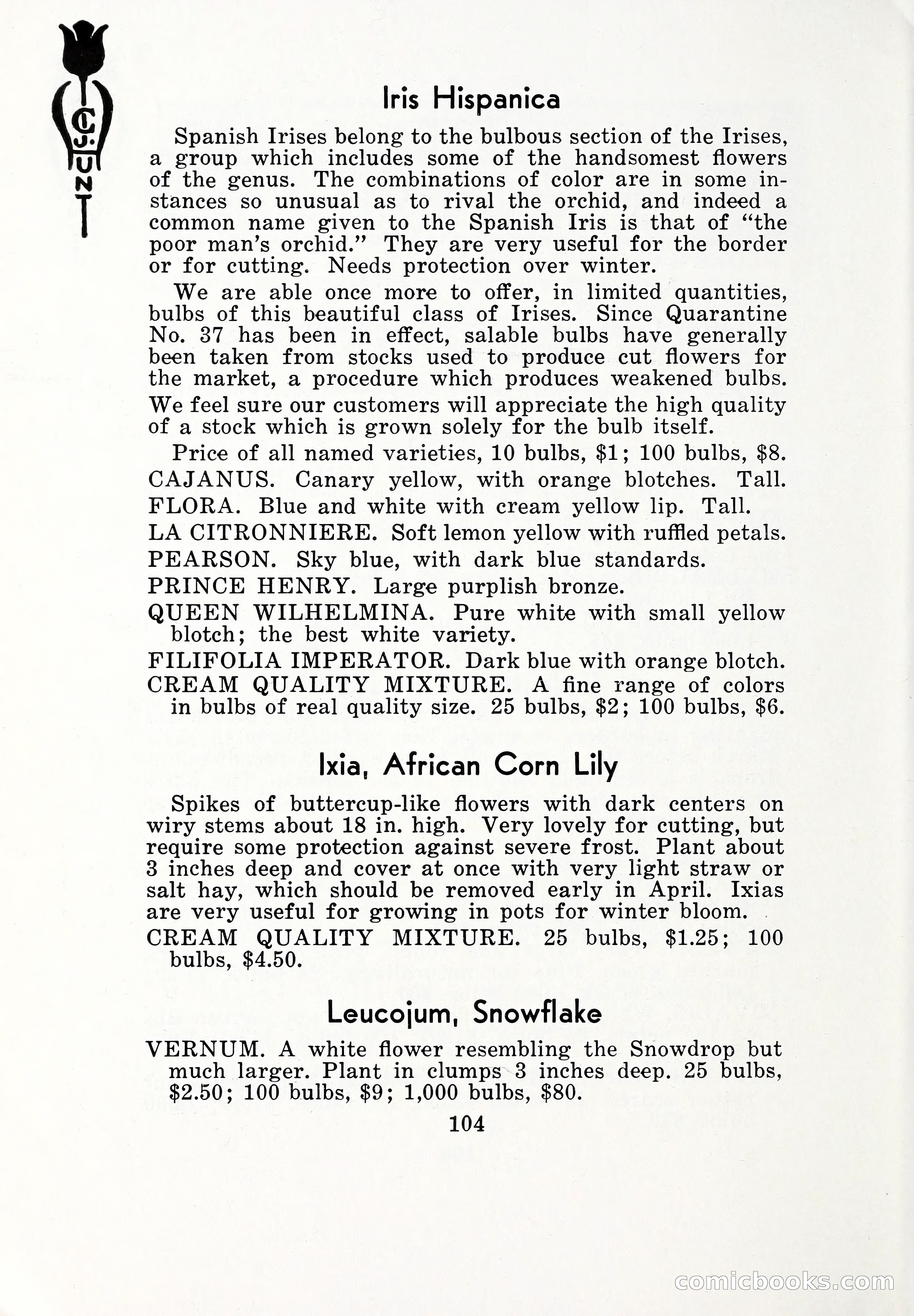 Blue Book of Bulbs, 1932 — page 109 of 121