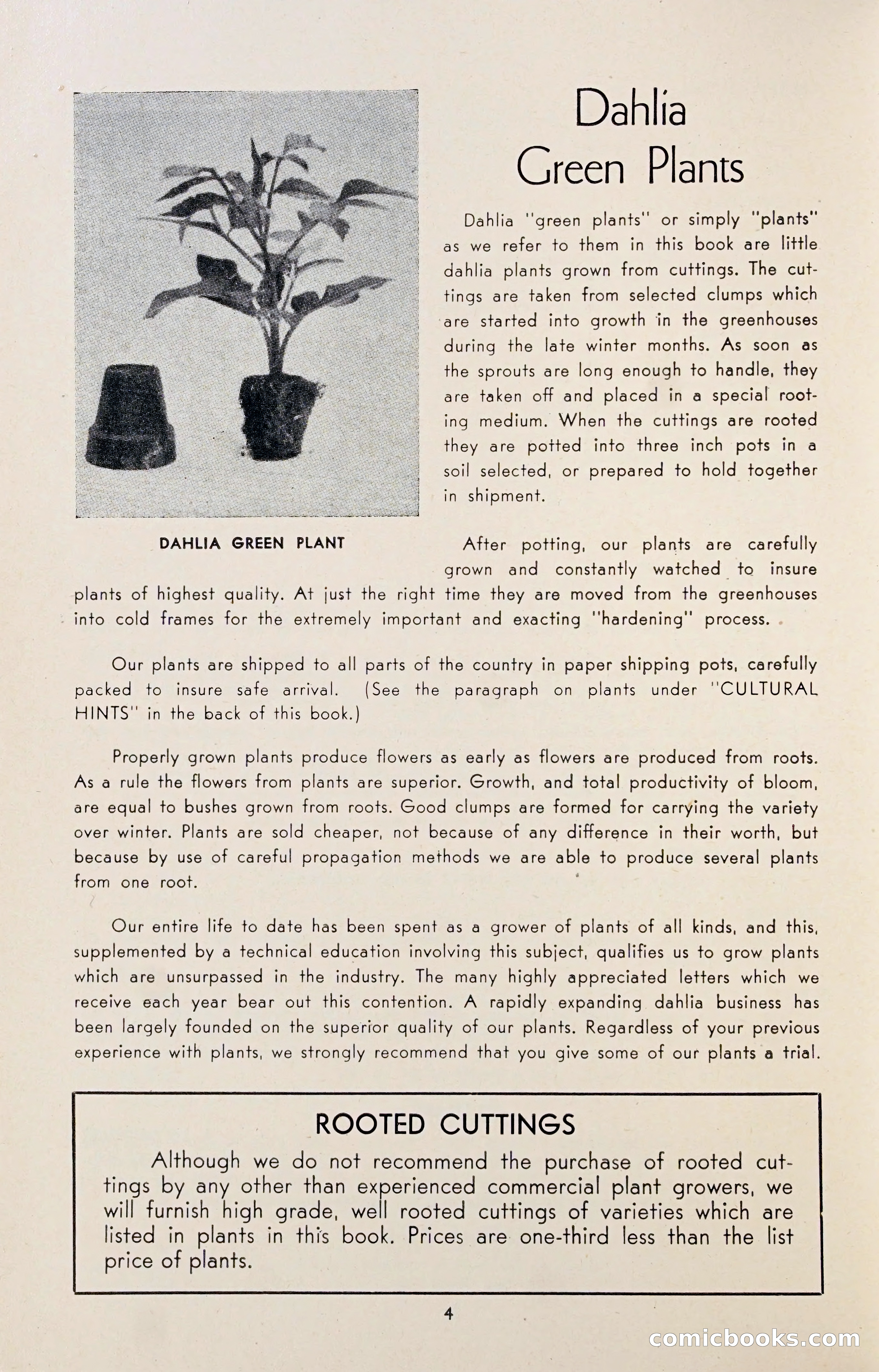 Dahlia Blue Book for 1947 — page 9 of 50