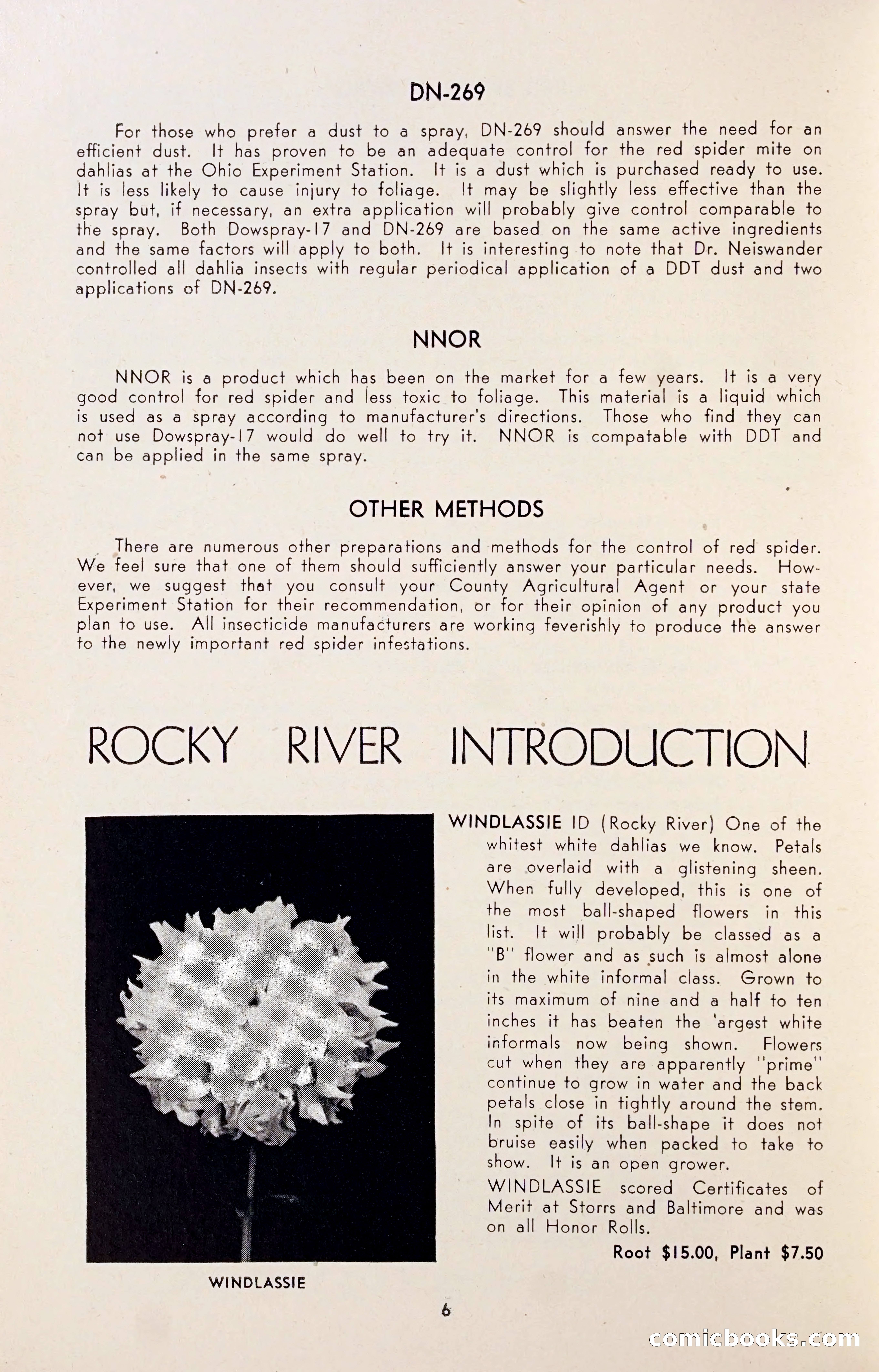 Dahlia Blue Book for 1947 — page 11 of 50