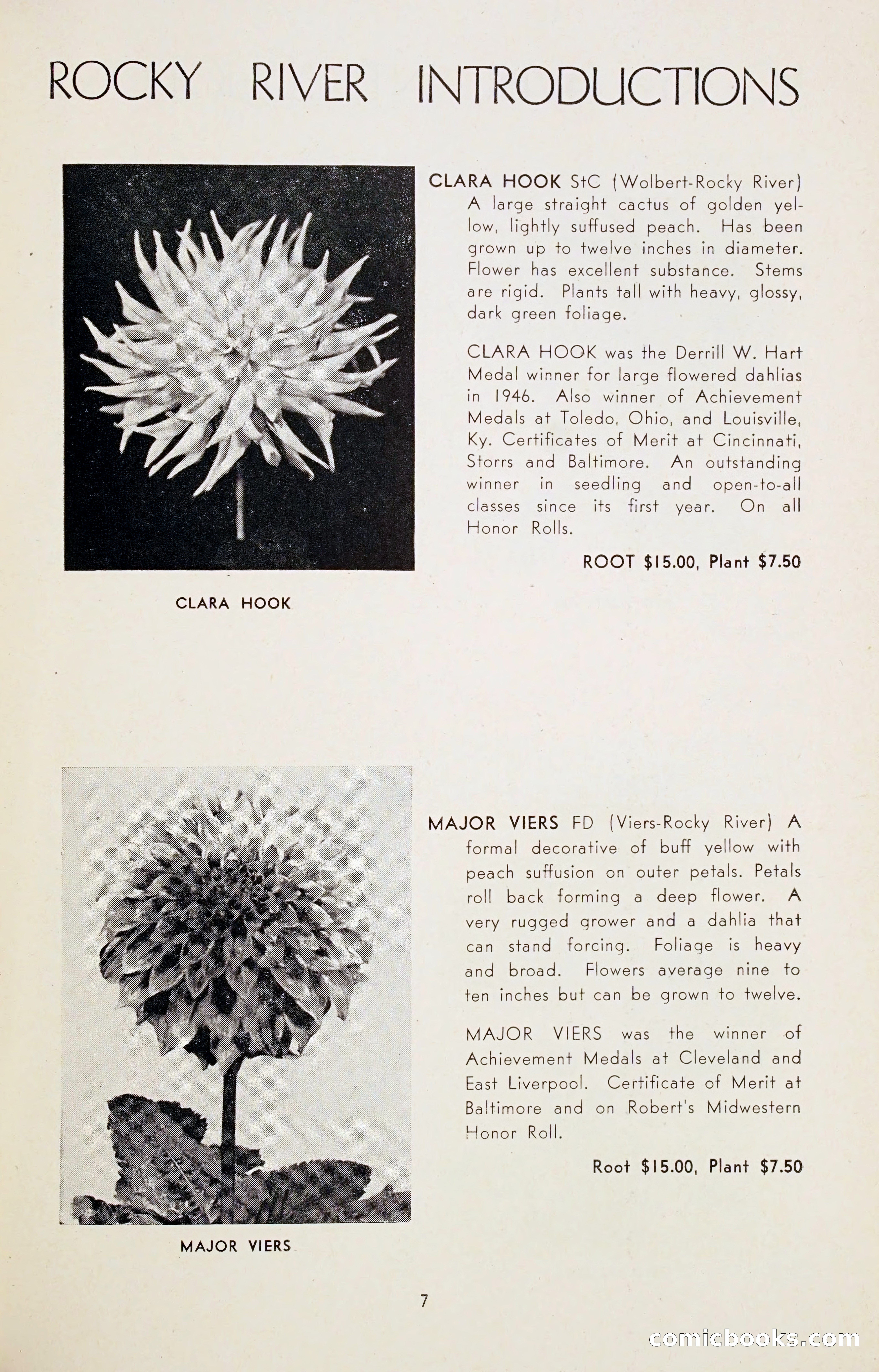 Dahlia Blue Book for 1947 — page 12 of 50
