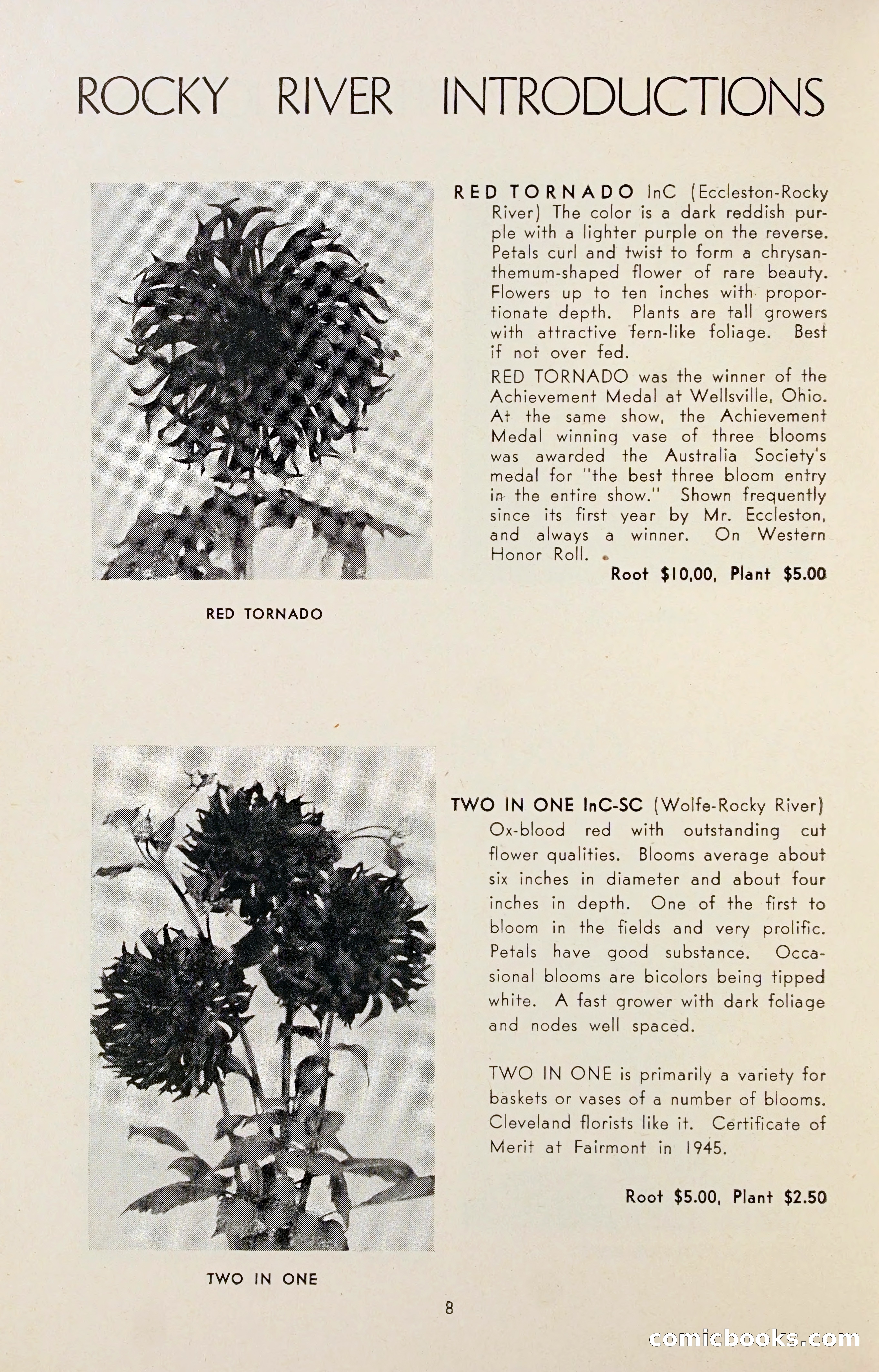 Dahlia Blue Book for 1947 — page 13 of 50