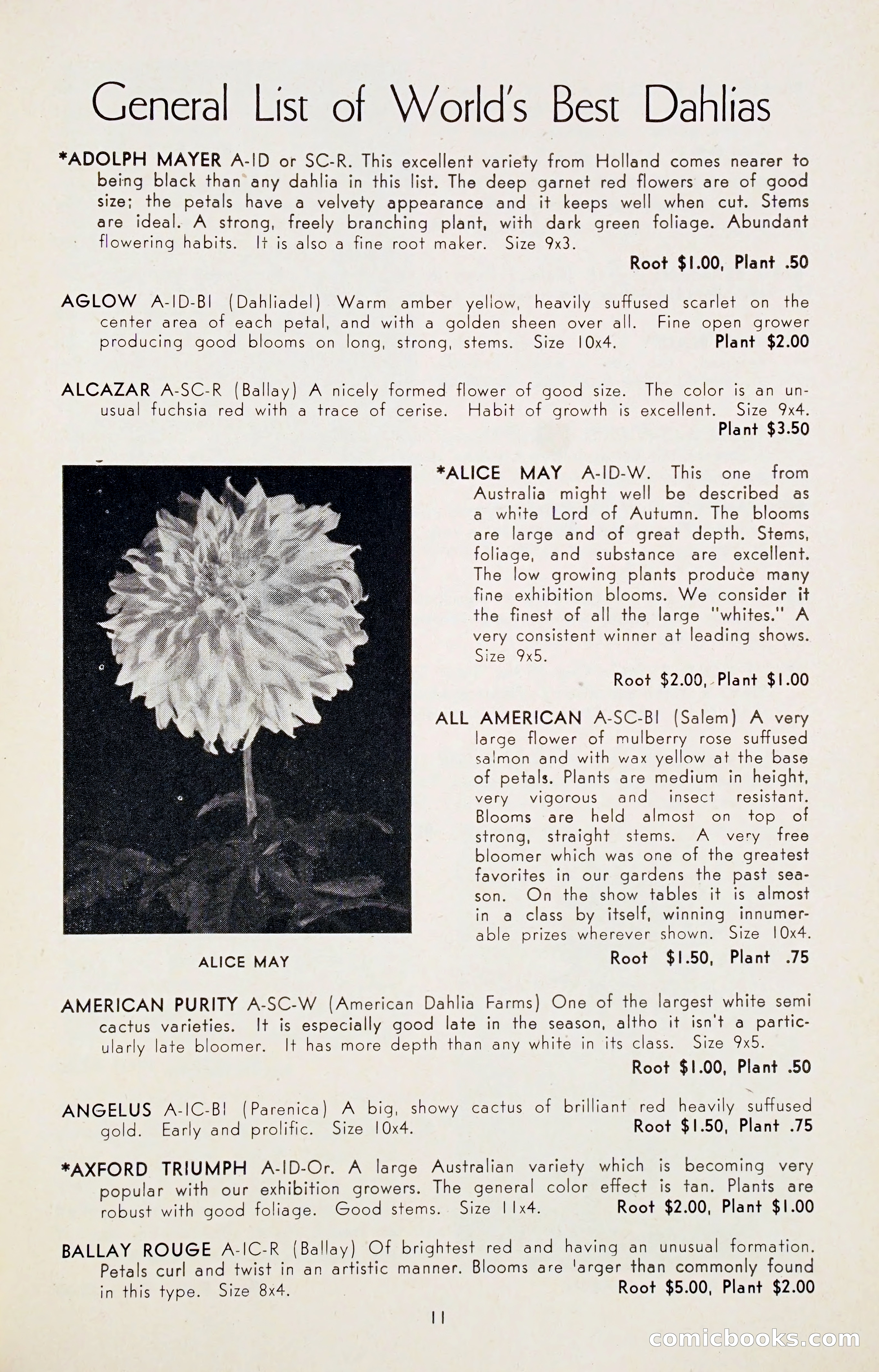 Dahlia Blue Book for 1947 — page 16 of 50