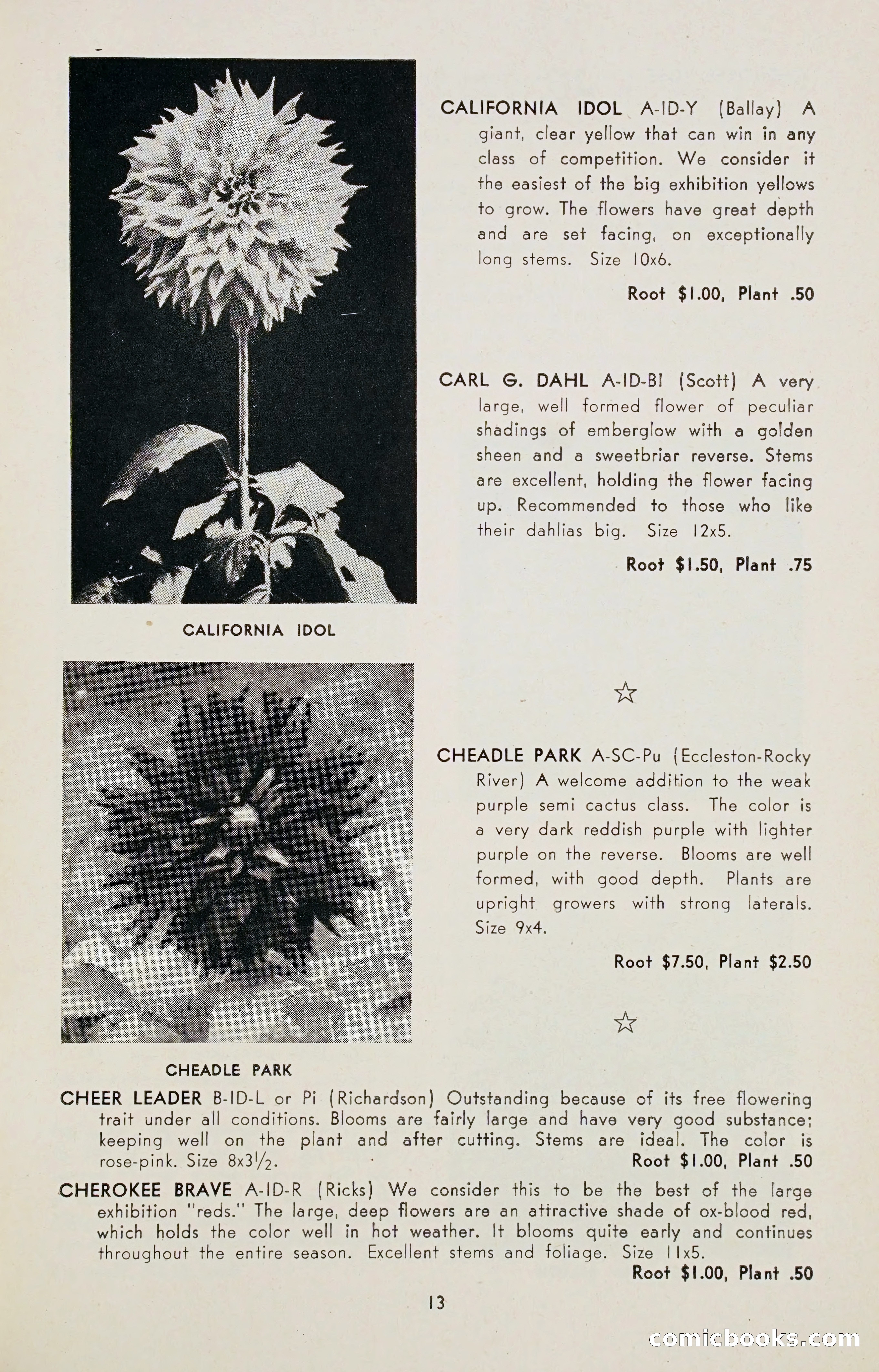 Dahlia Blue Book for 1947 — page 18 of 50
