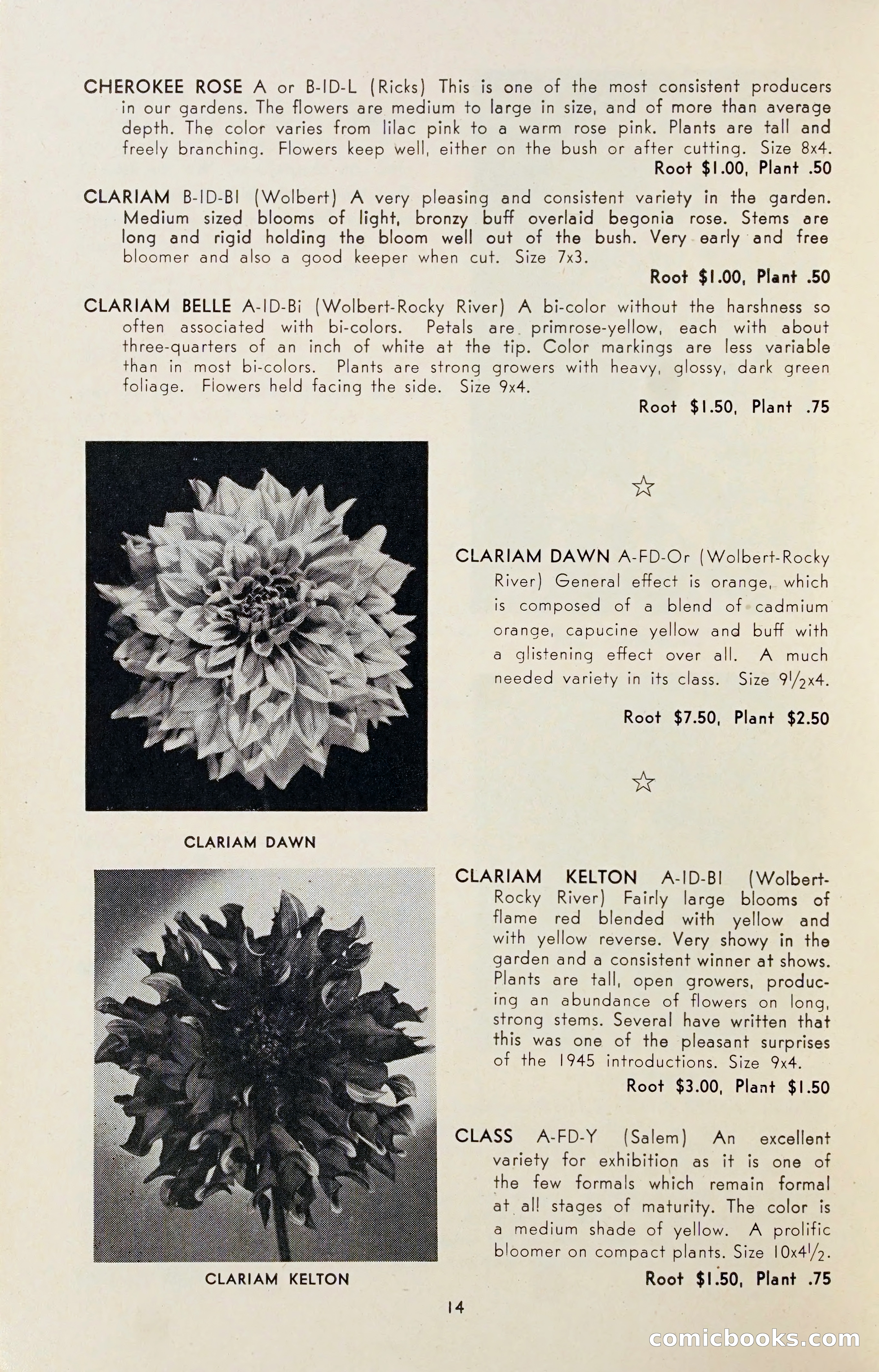 Dahlia Blue Book for 1947 — page 19 of 50