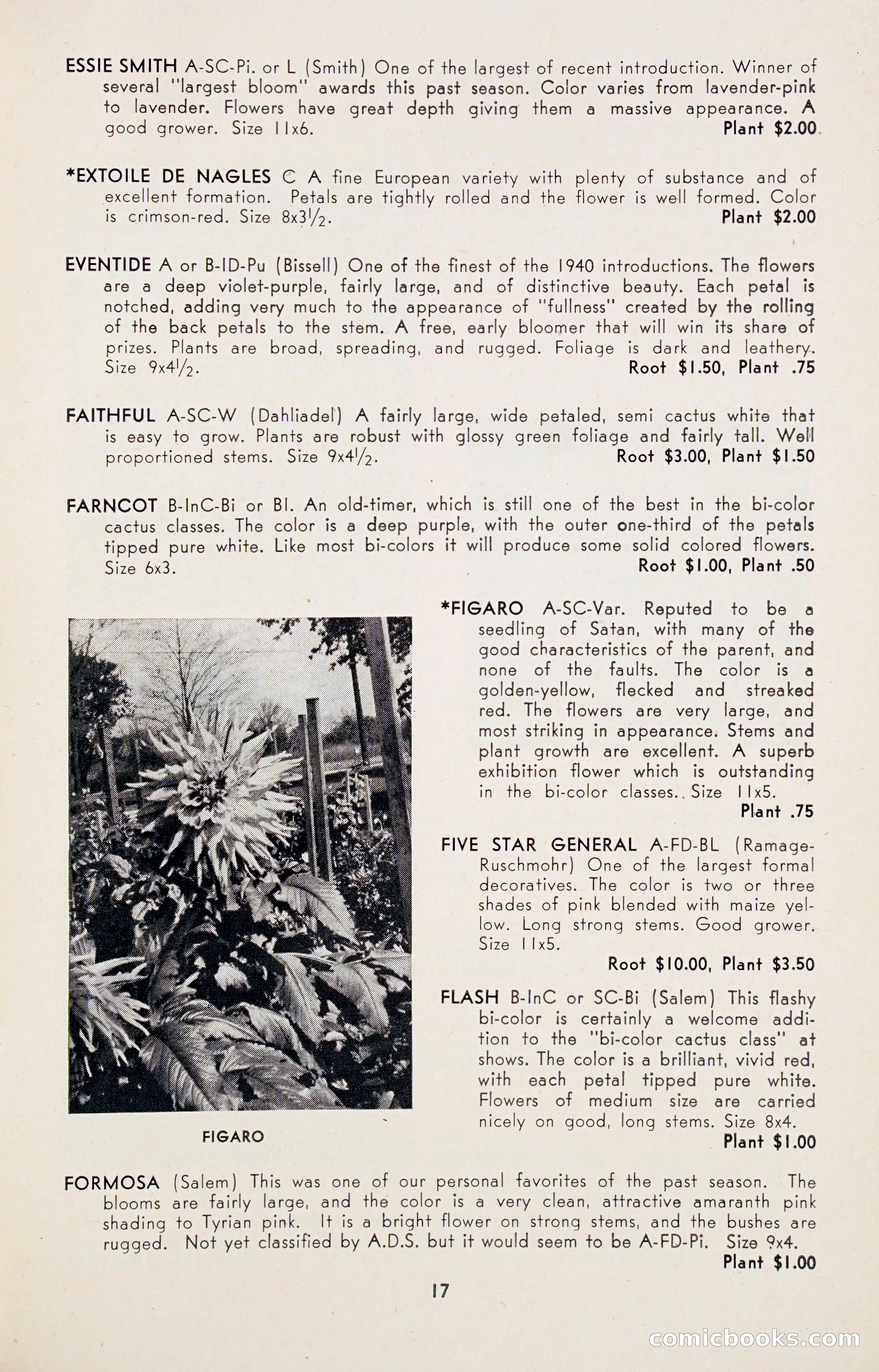 Dahlia Blue Book for 1947 — page 22 of 50