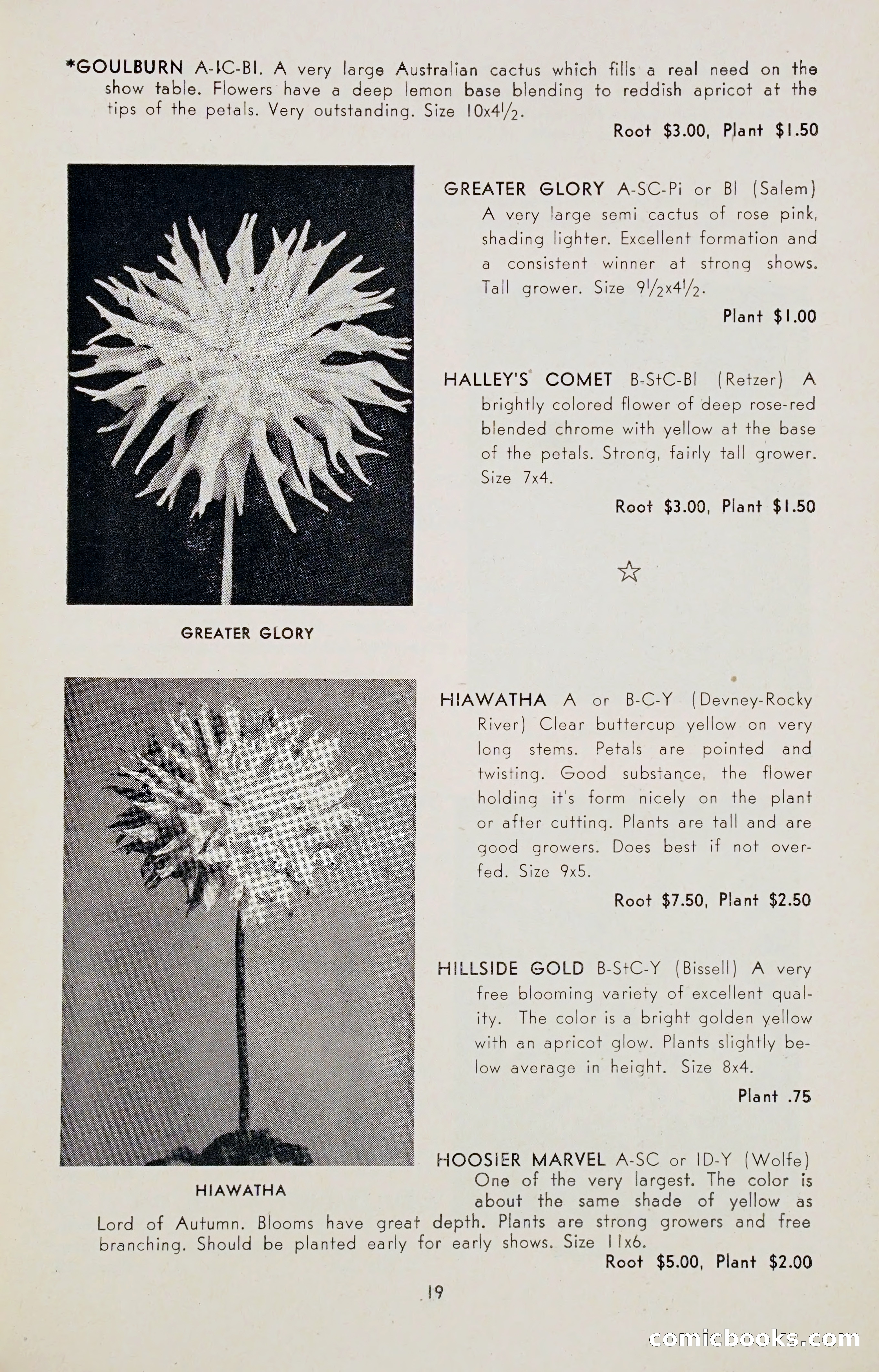 Dahlia Blue Book for 1947 — page 24 of 50