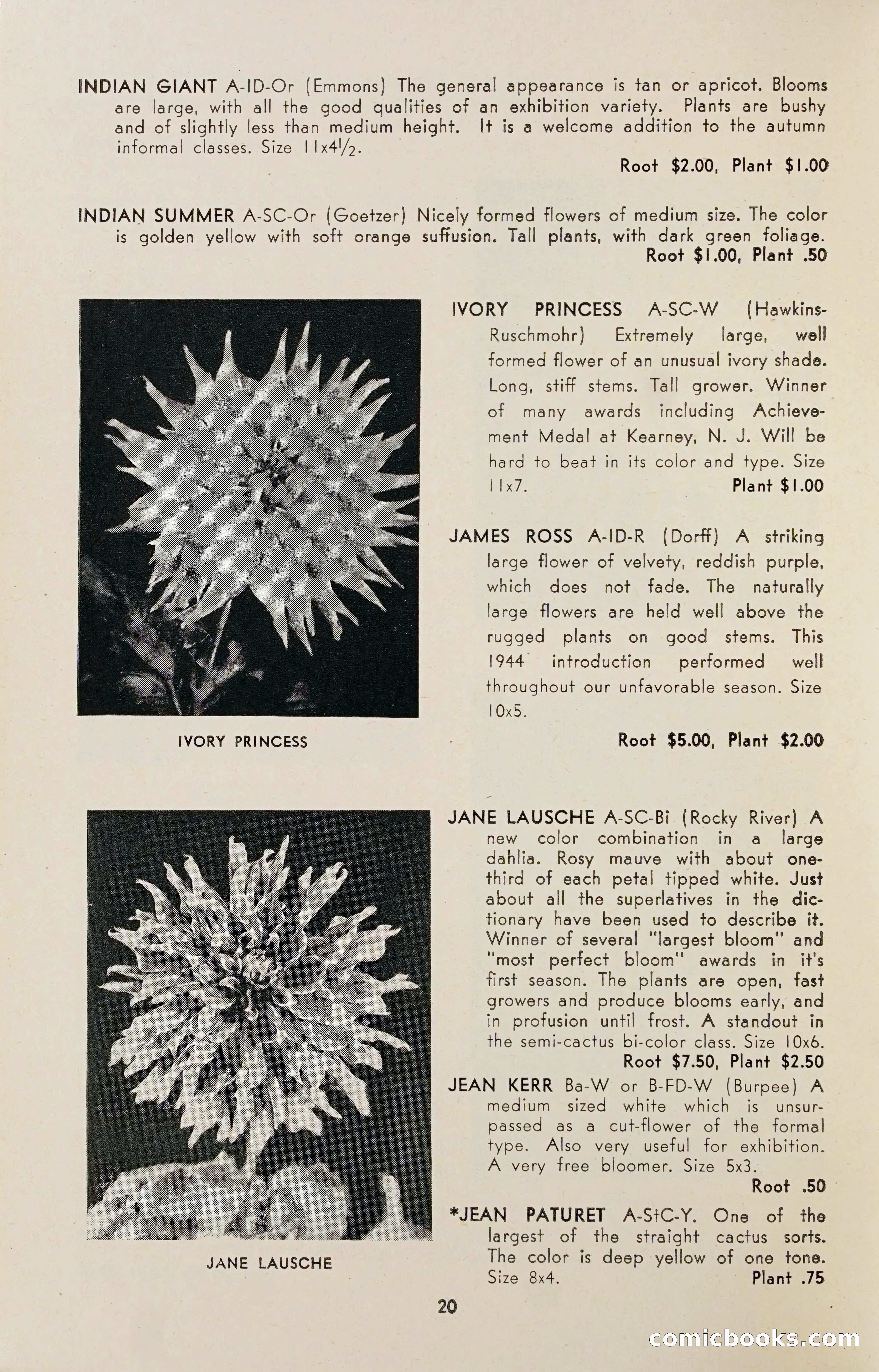 Dahlia Blue Book for 1947 — page 25 of 50