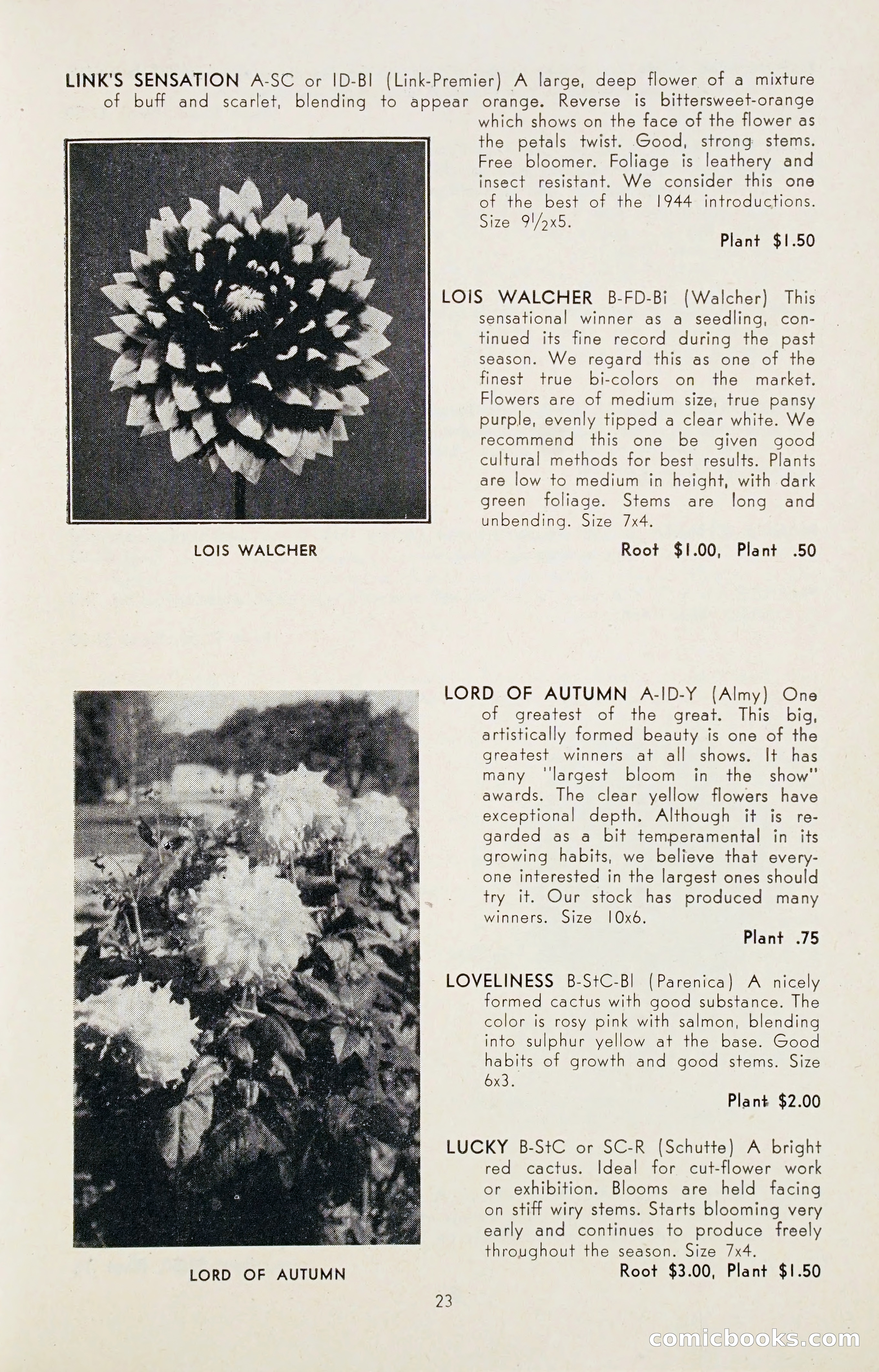 Dahlia Blue Book for 1947 — page 28 of 50