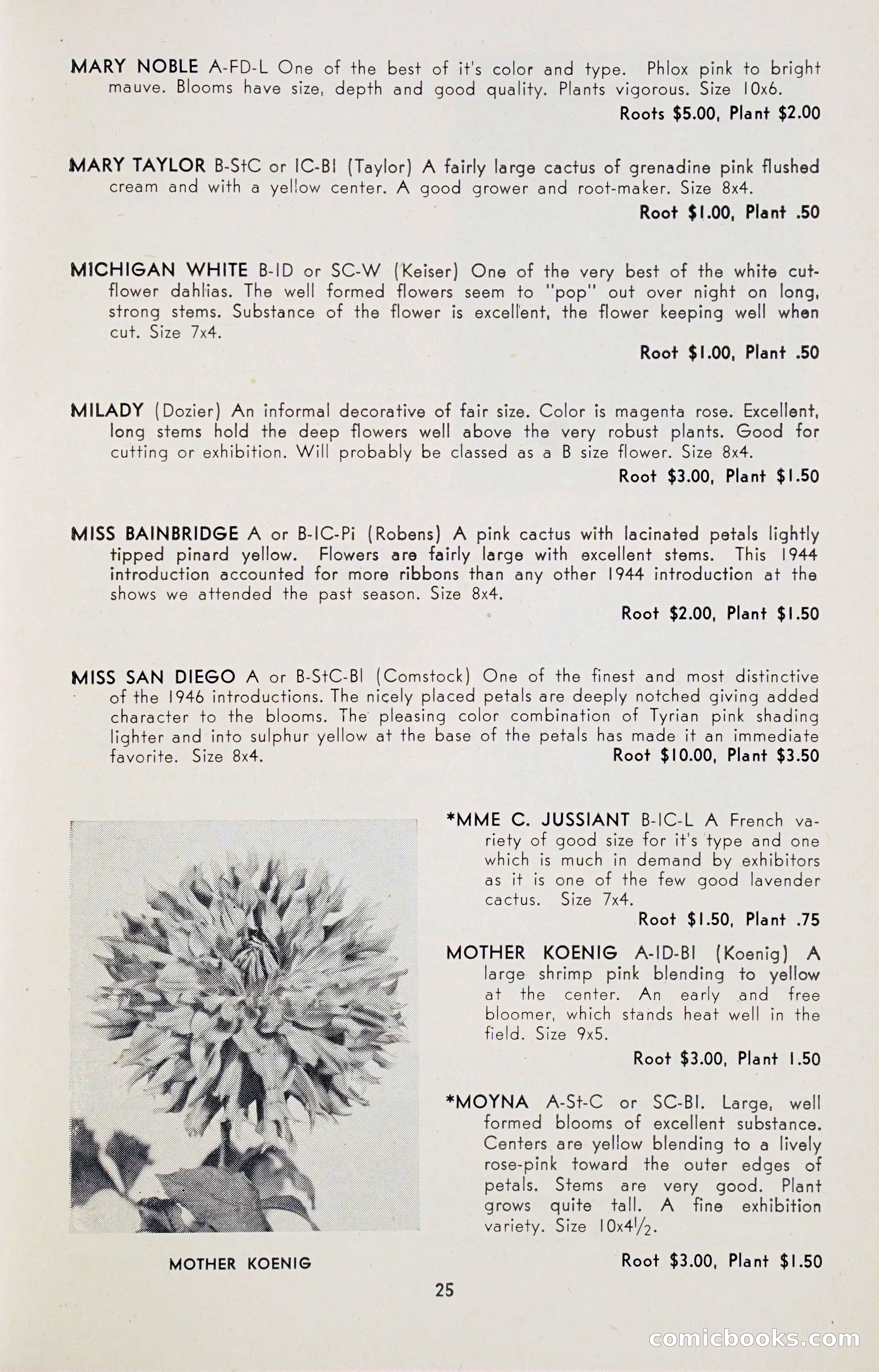 Dahlia Blue Book for 1947 — page 30 of 50