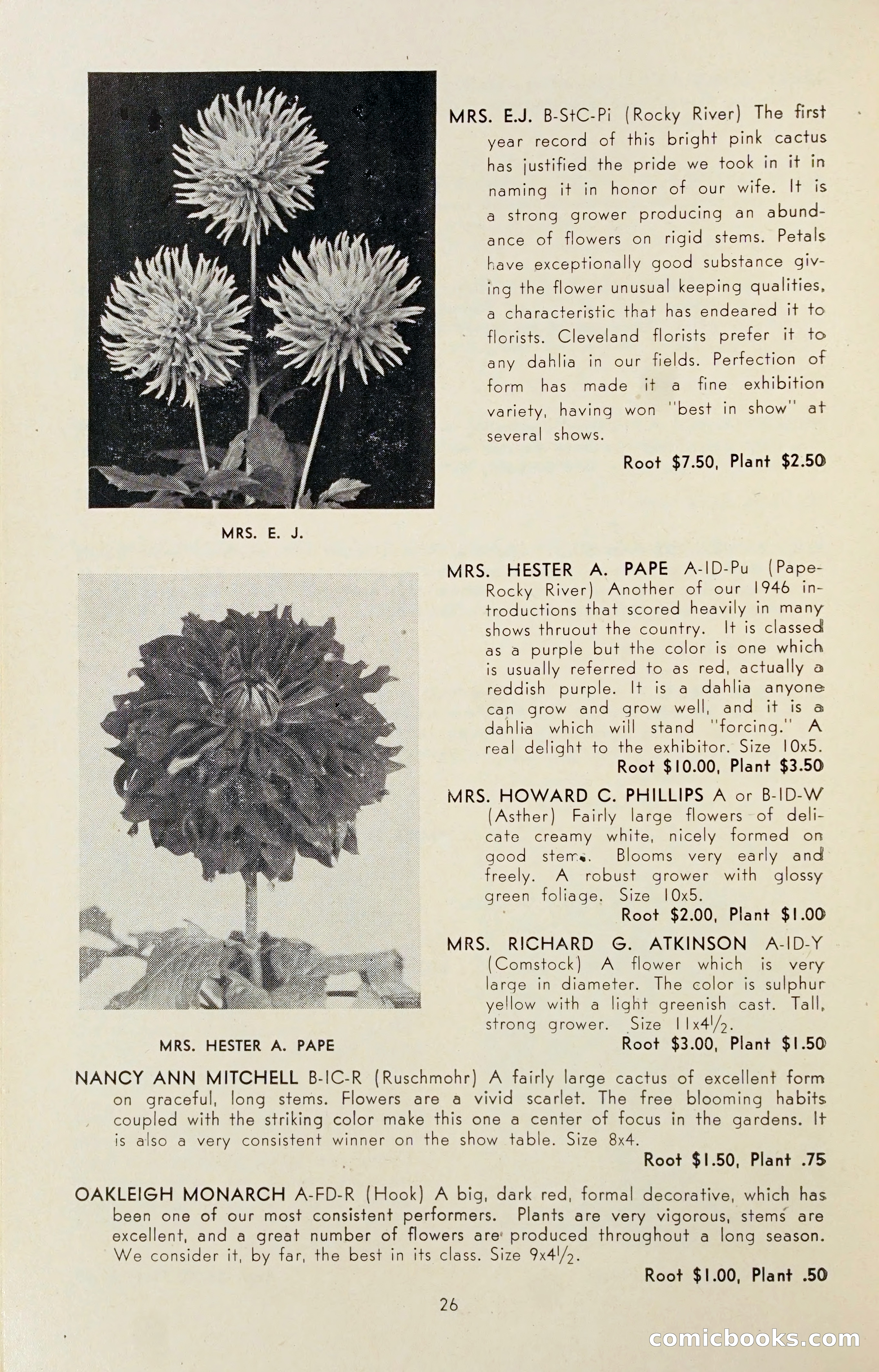 Dahlia Blue Book for 1947 — page 31 of 50