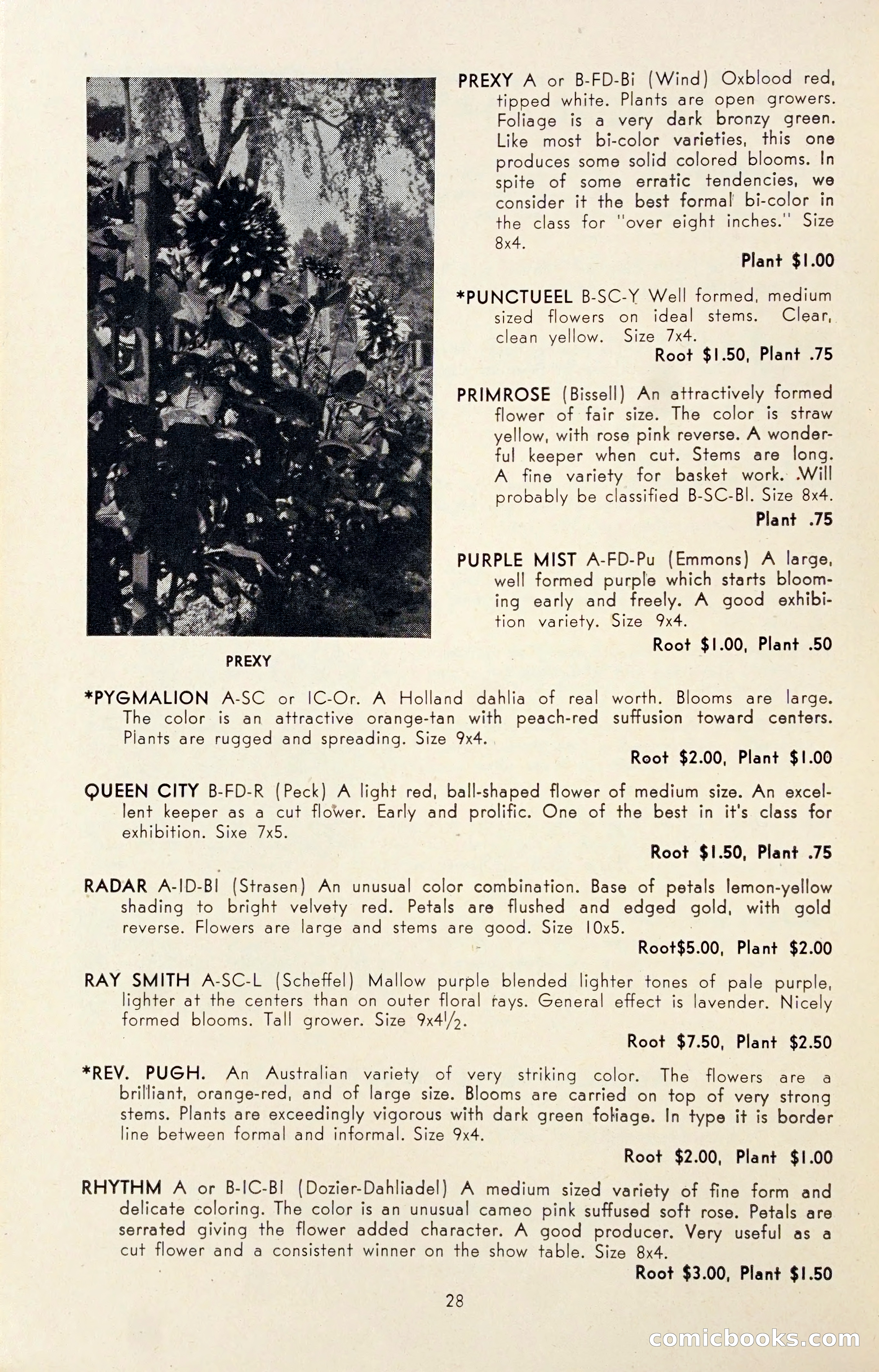 Dahlia Blue Book for 1947 — page 33 of 50
