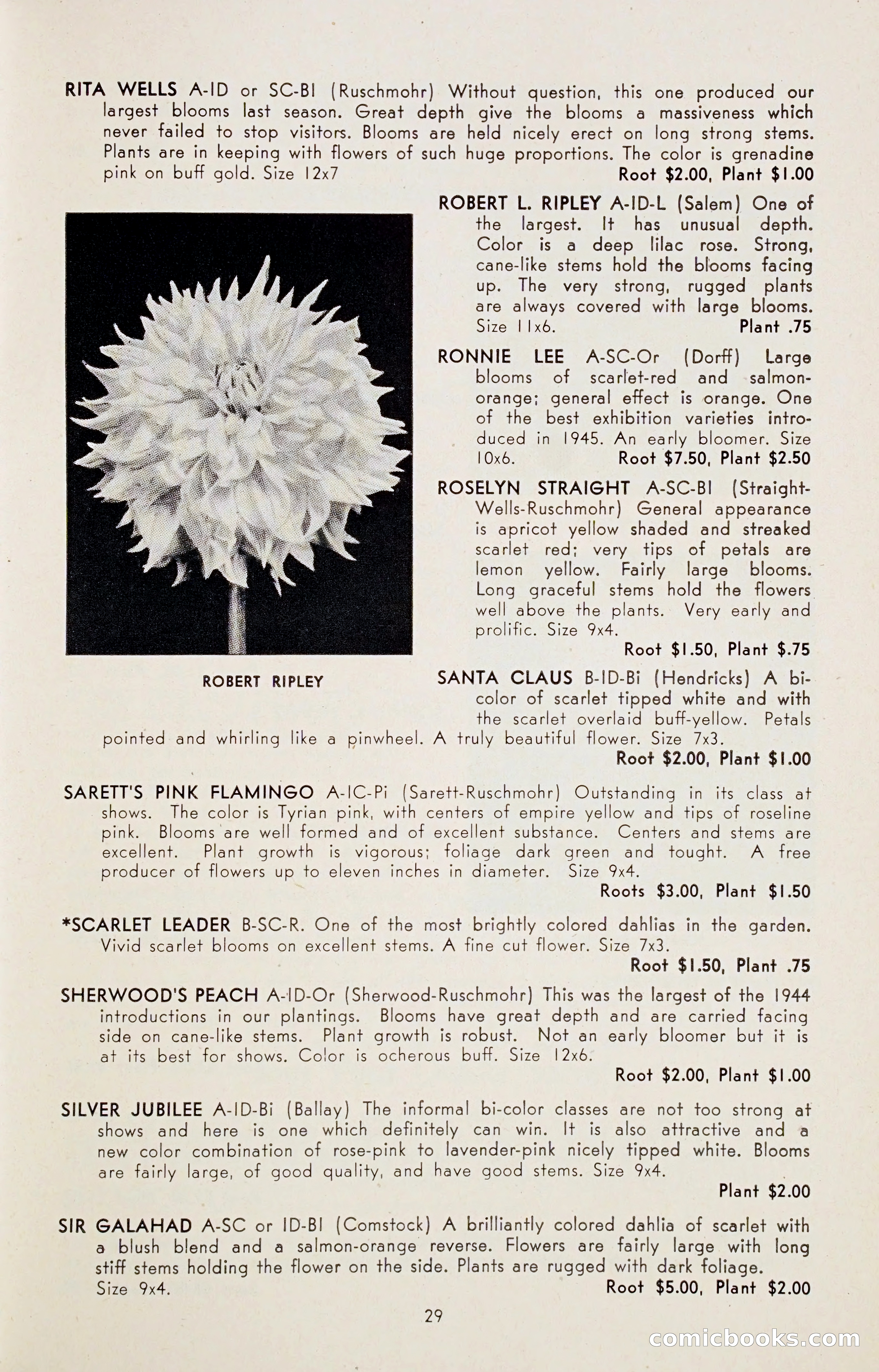 Dahlia Blue Book for 1947 — page 34 of 50