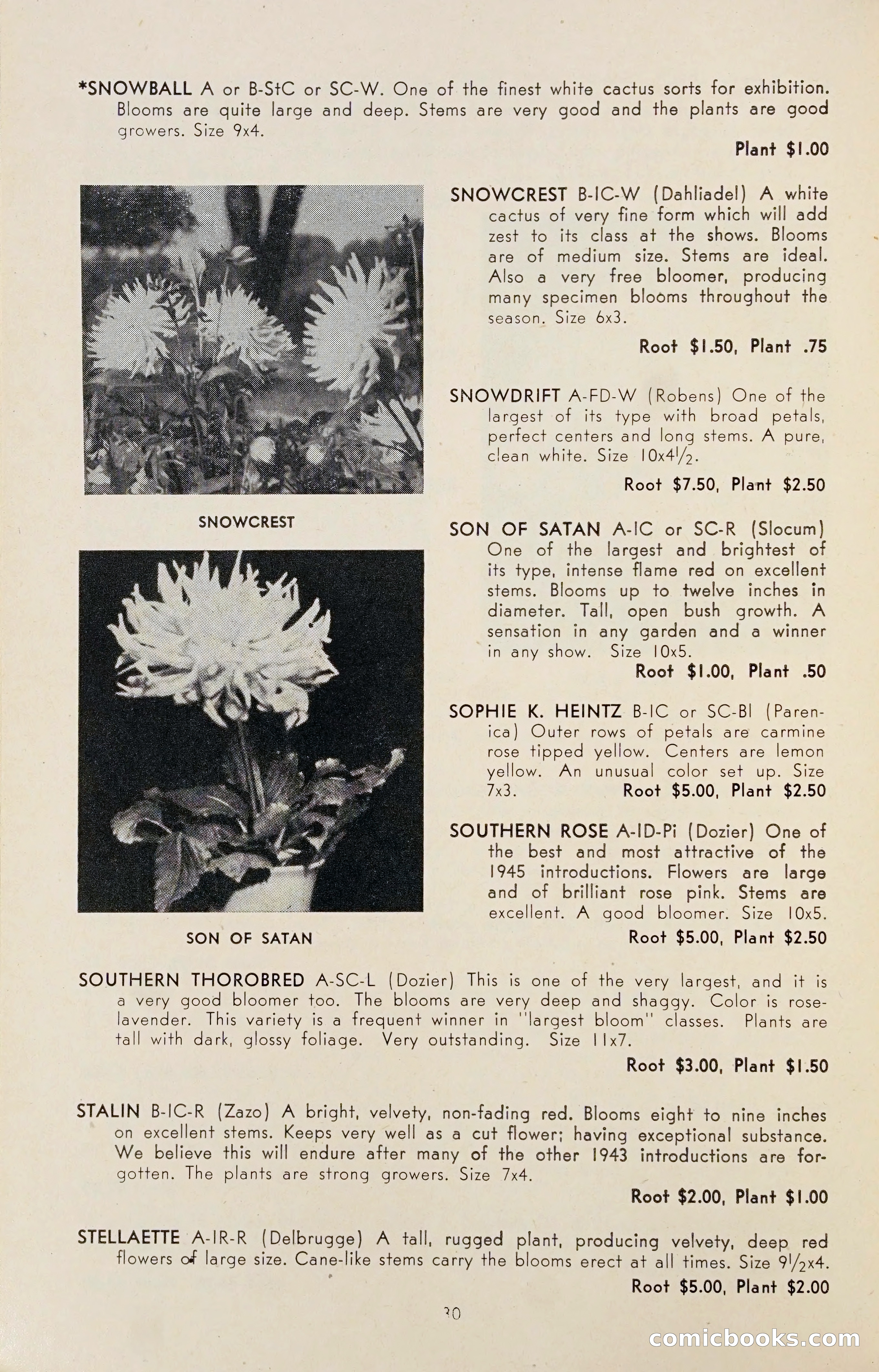 Dahlia Blue Book for 1947 — page 35 of 50