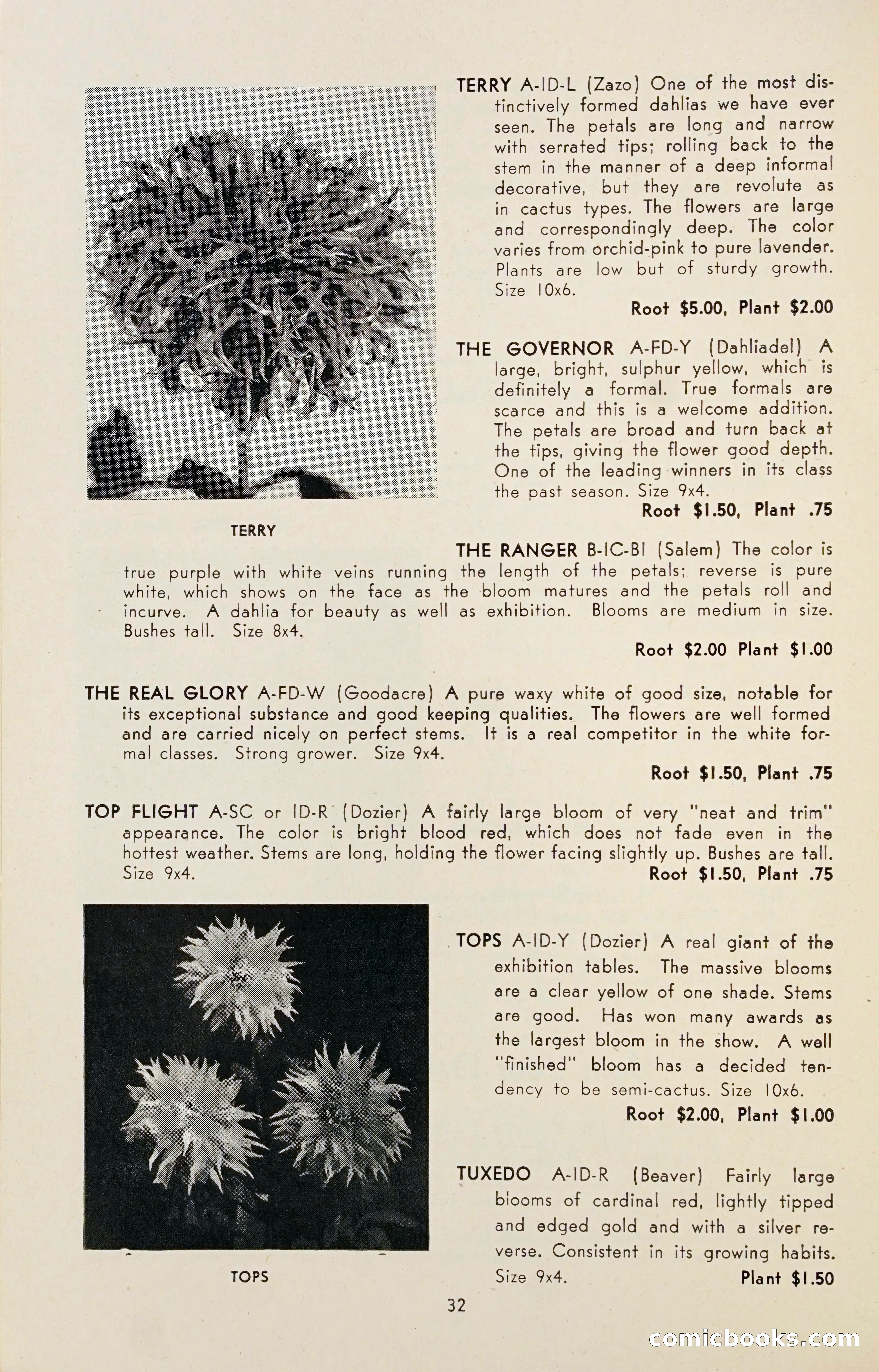 Dahlia Blue Book for 1947 — page 37 of 50