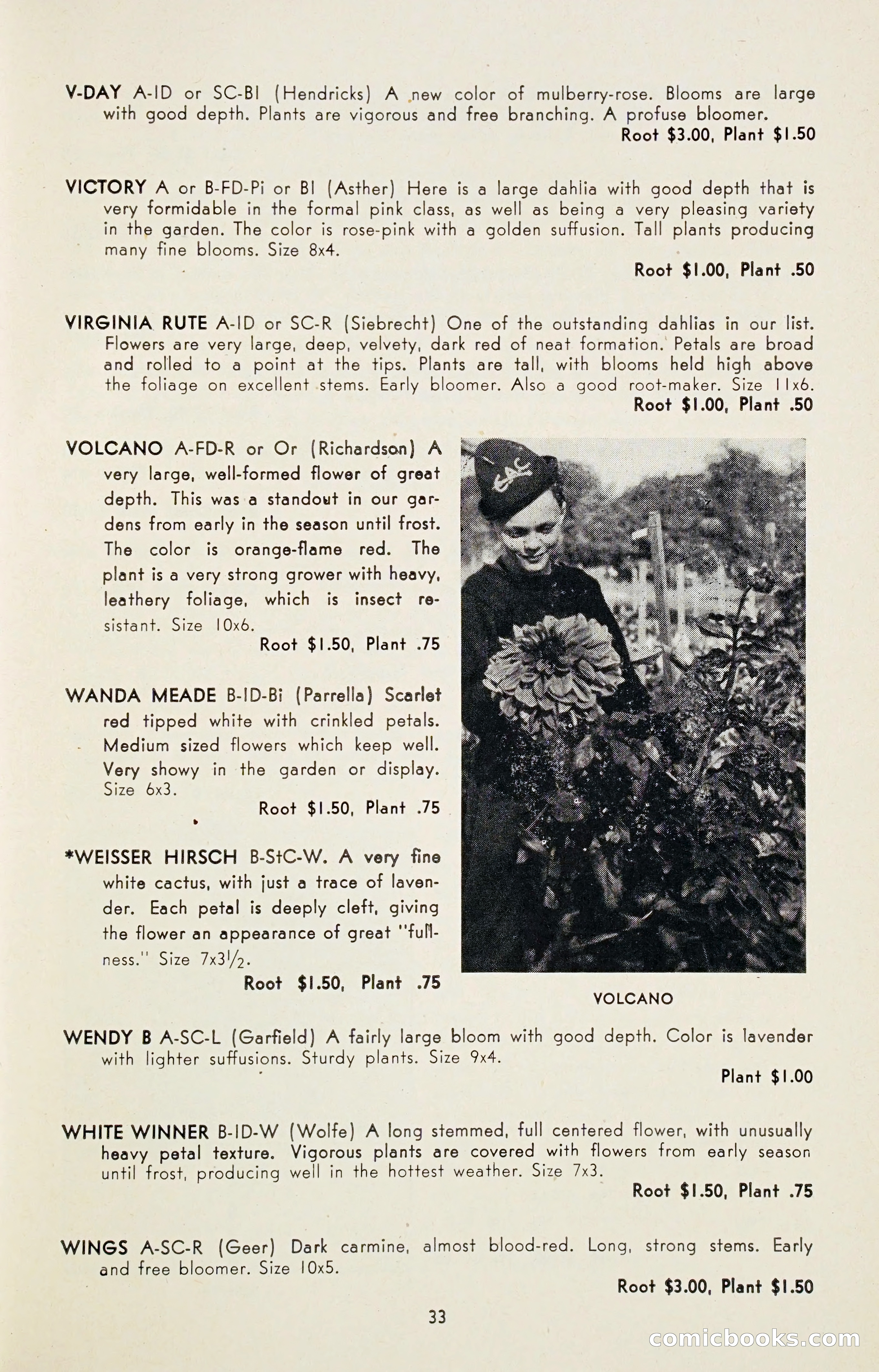 Dahlia Blue Book for 1947 — page 38 of 50