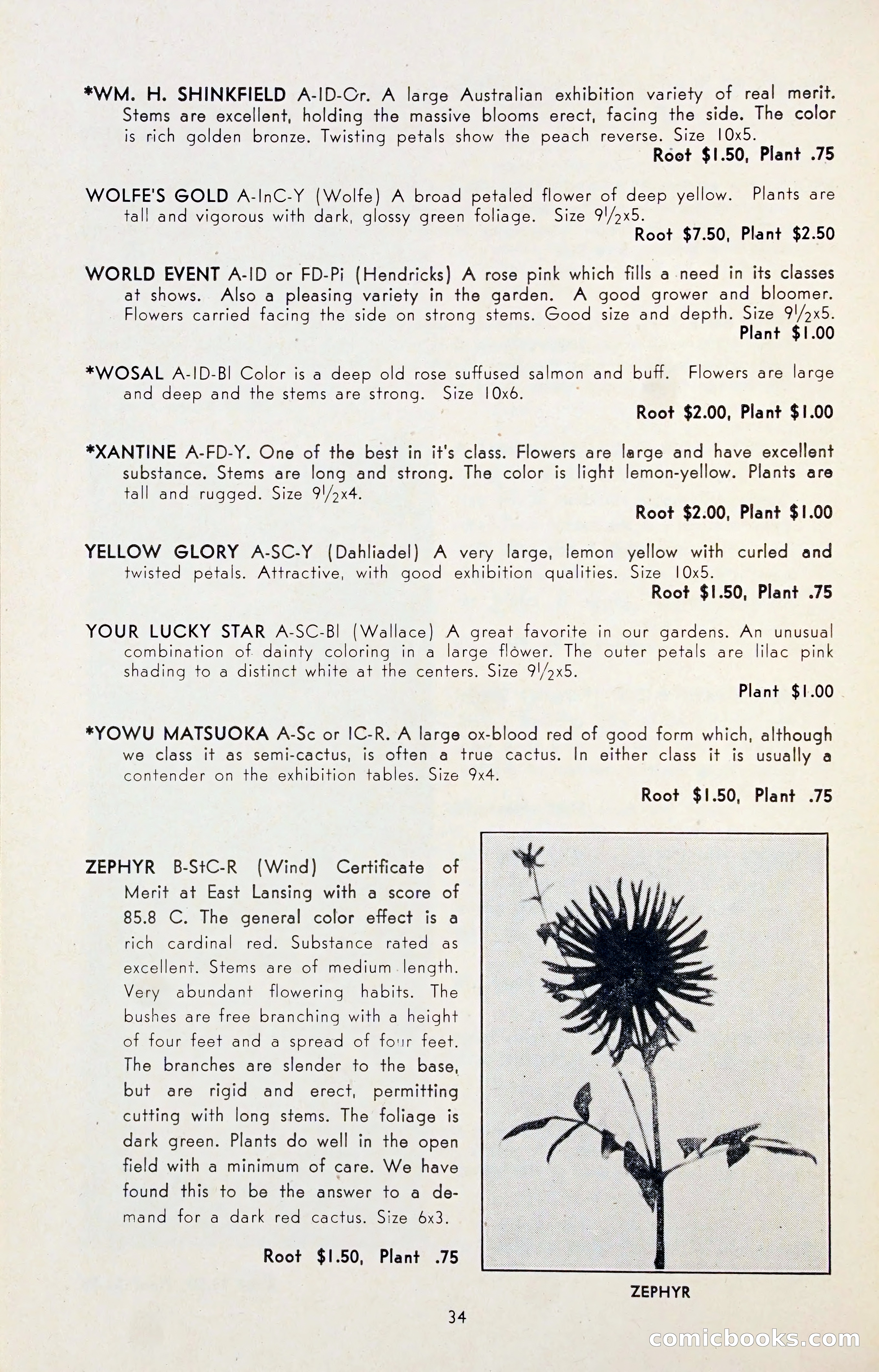 Dahlia Blue Book for 1947 — page 39 of 50