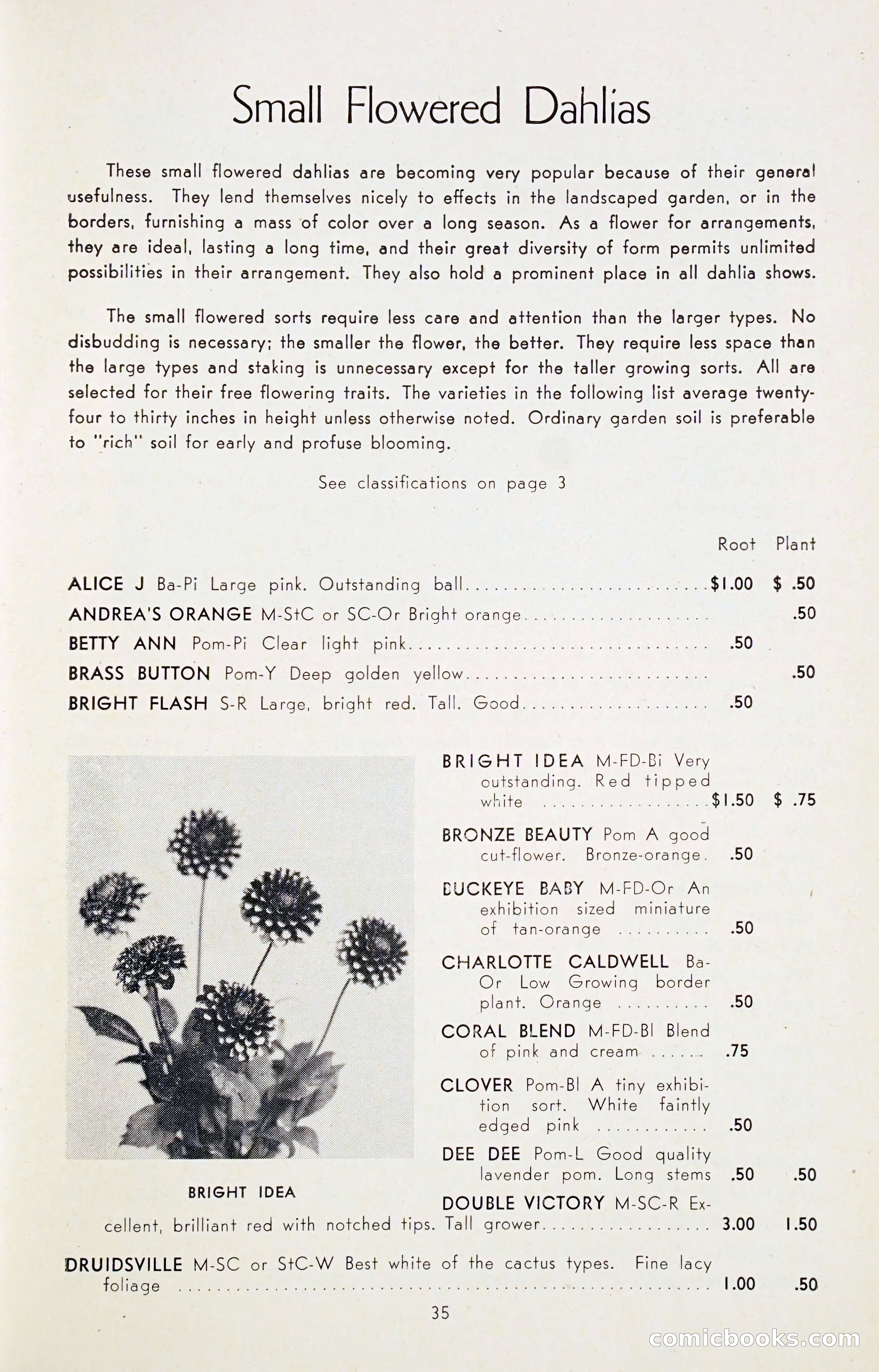 Dahlia Blue Book for 1947 — page 40 of 50