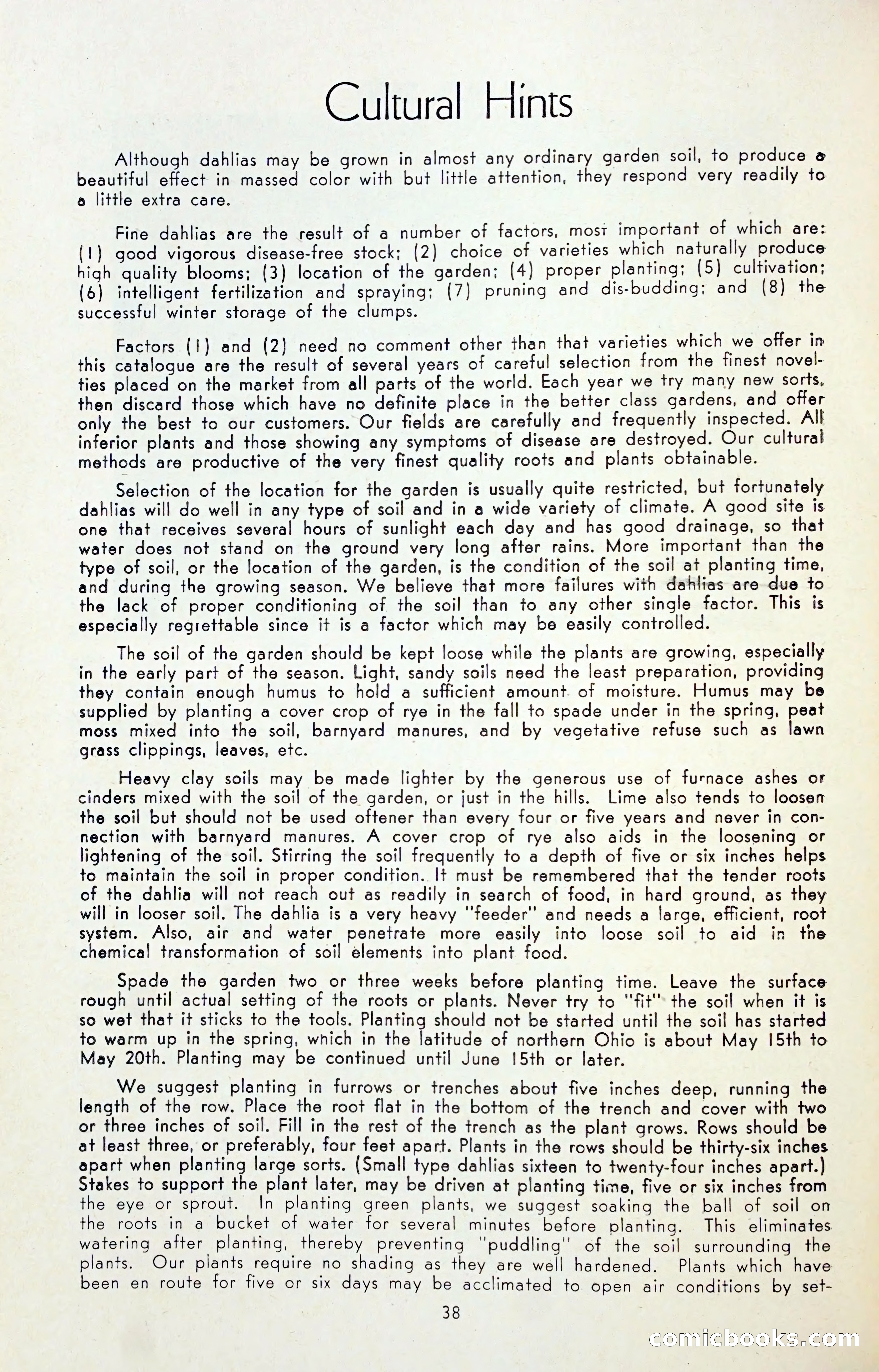 Dahlia Blue Book for 1947 — page 43 of 50
