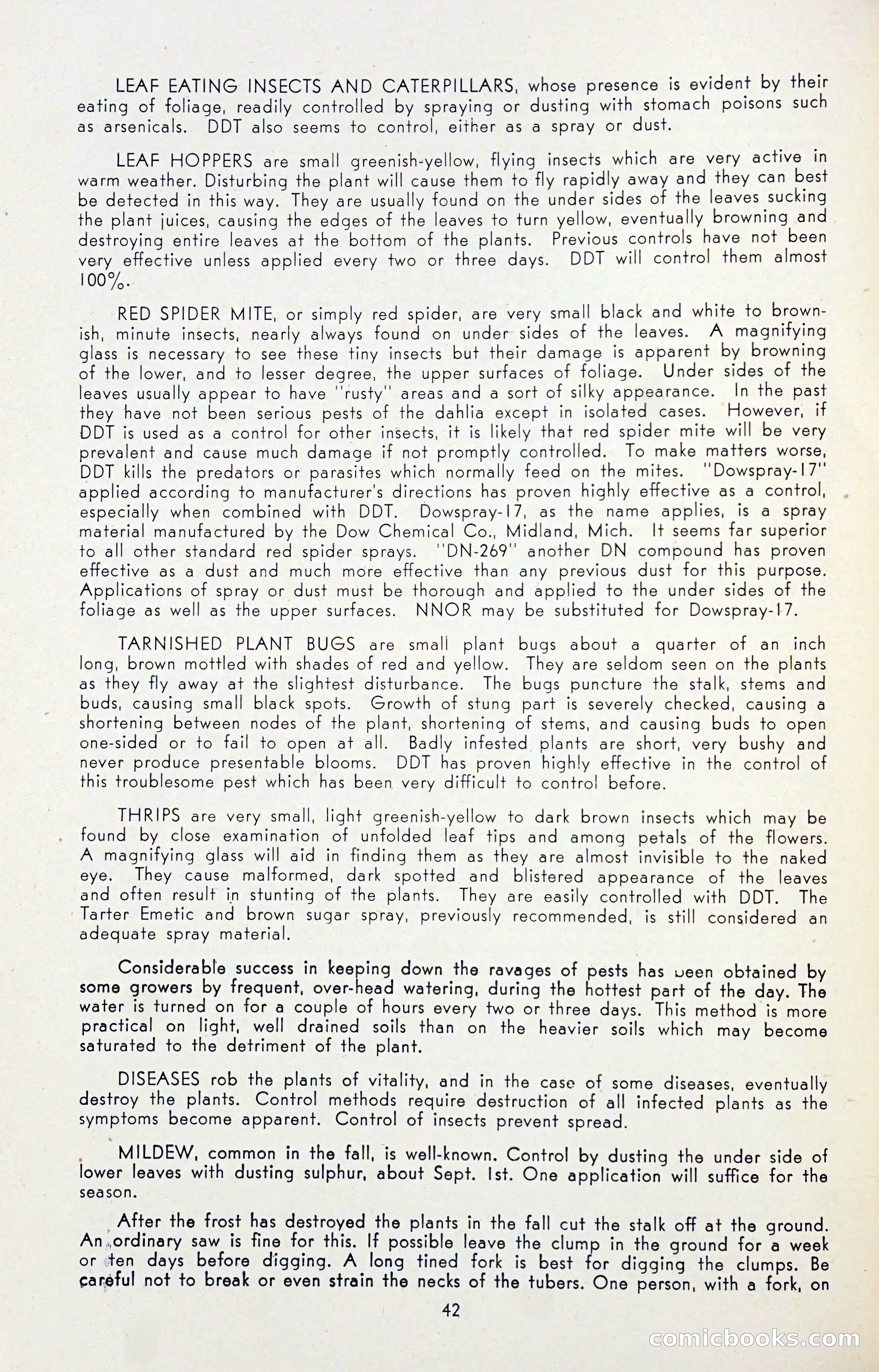 Dahlia Blue Book for 1947 — page 47 of 50