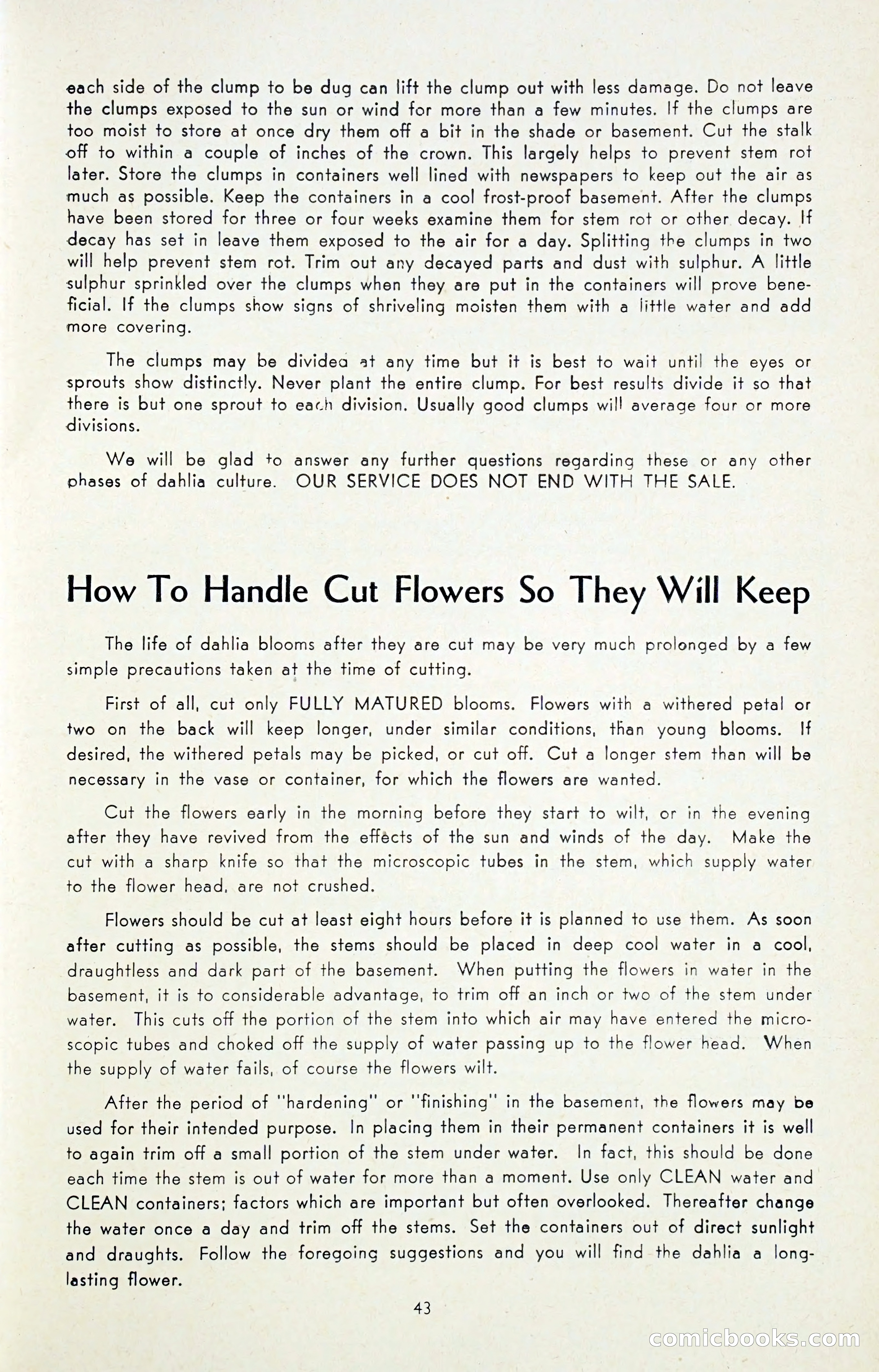 Dahlia Blue Book for 1947 — page 48 of 50