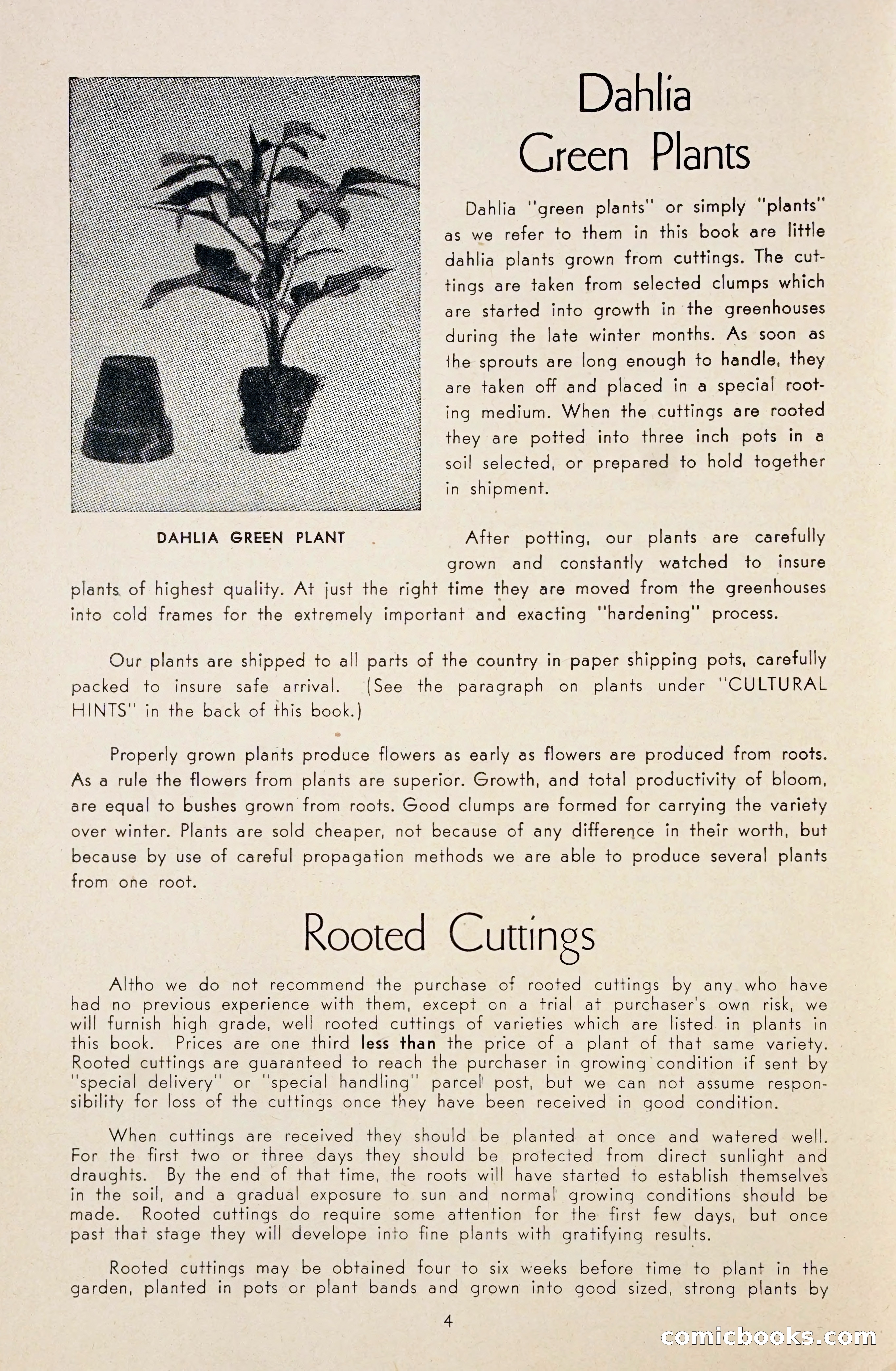 Dahlia Blue Book for 1948 — page 9 of 54