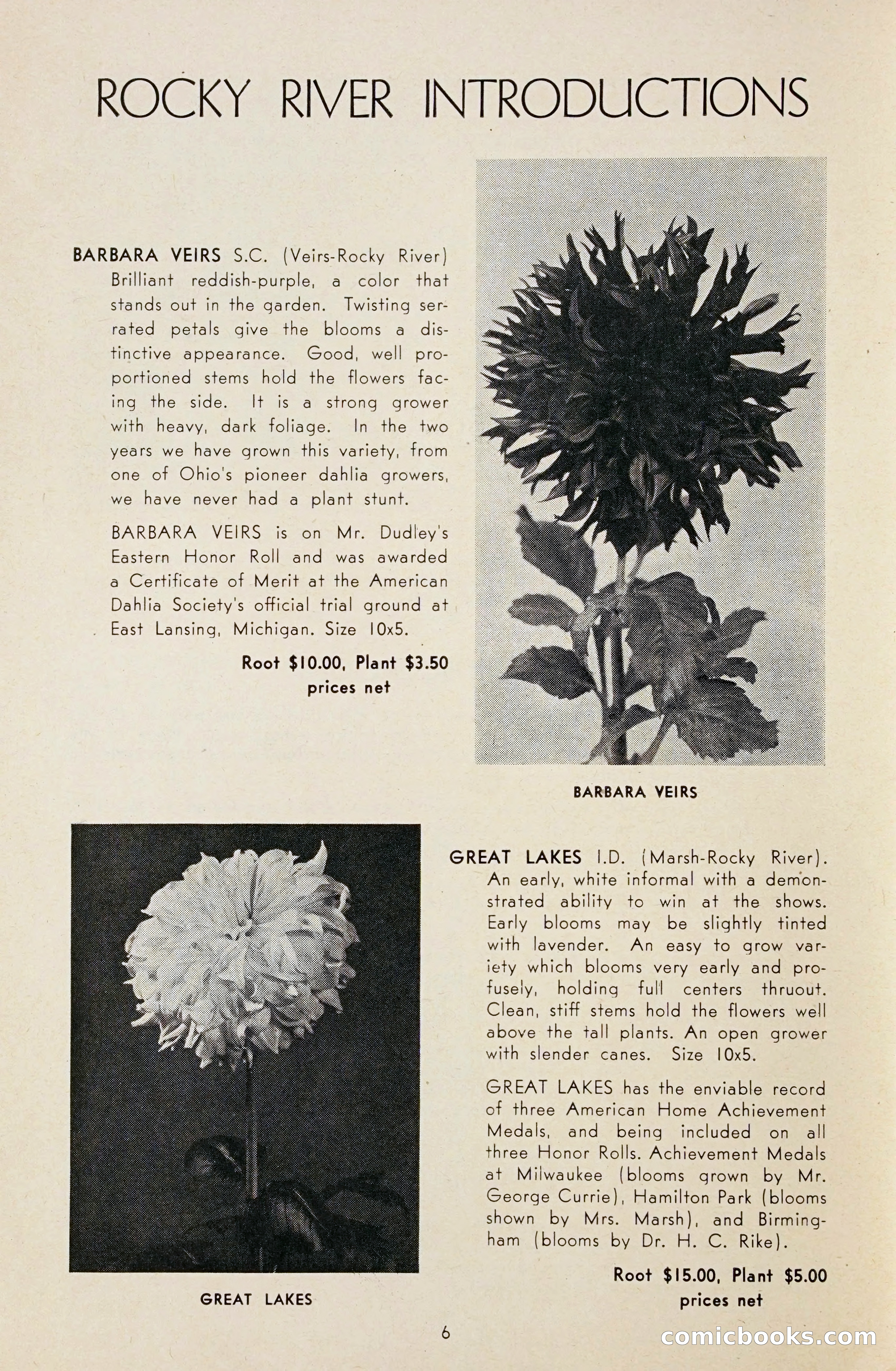 Dahlia Blue Book for 1948 — page 11 of 54