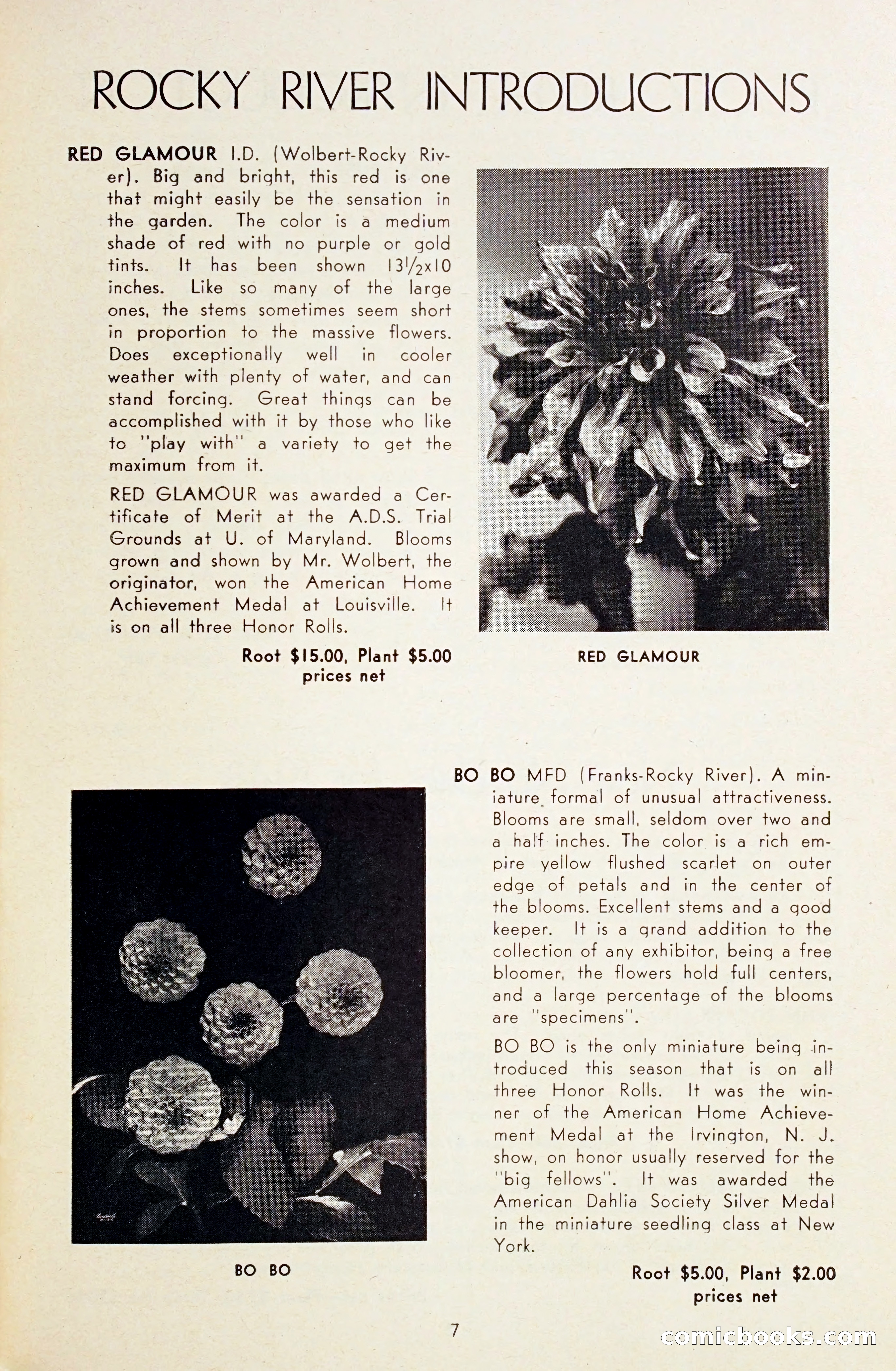 Dahlia Blue Book for 1948 — page 12 of 54
