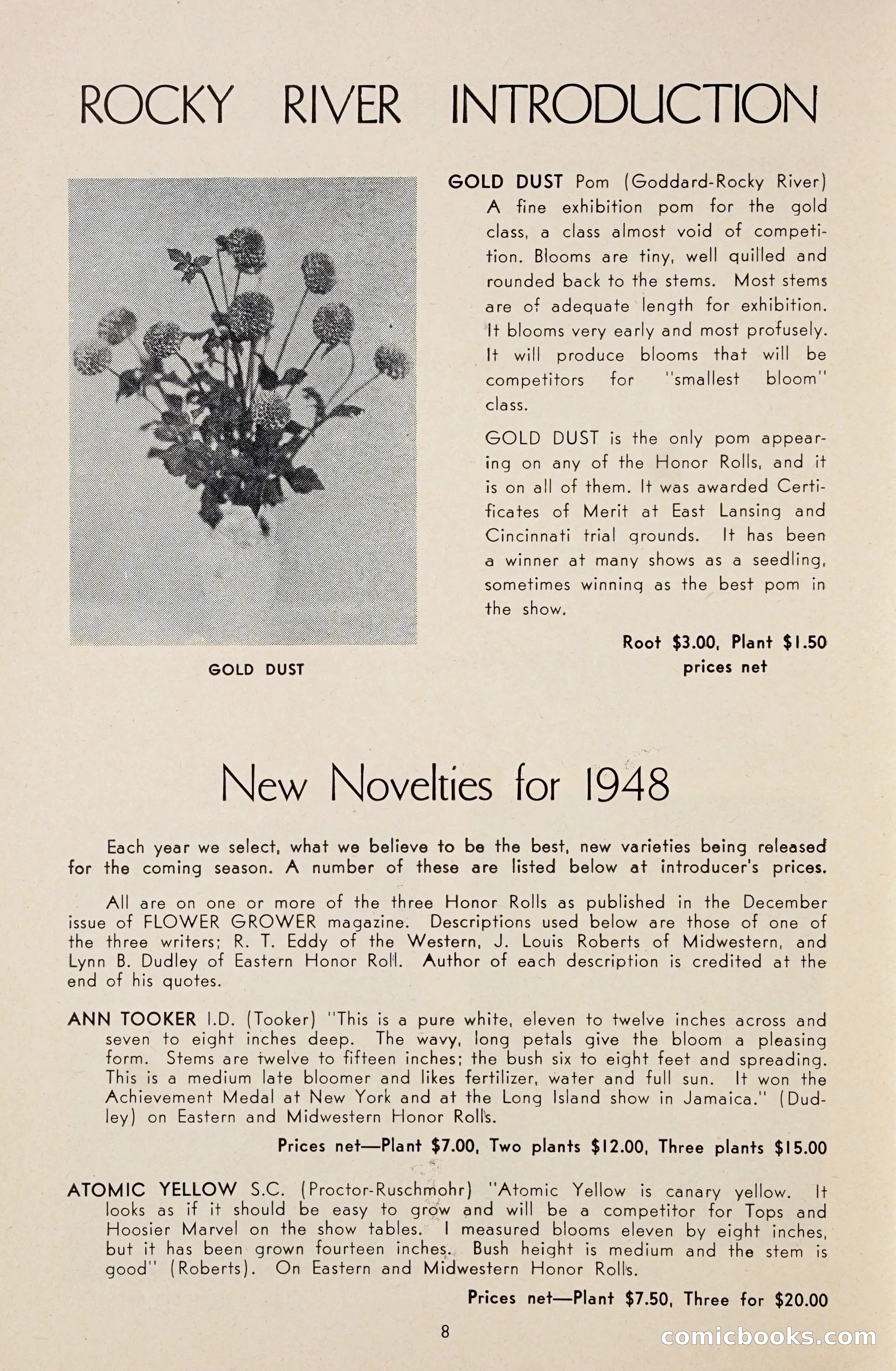 Dahlia Blue Book for 1948 — page 13 of 54