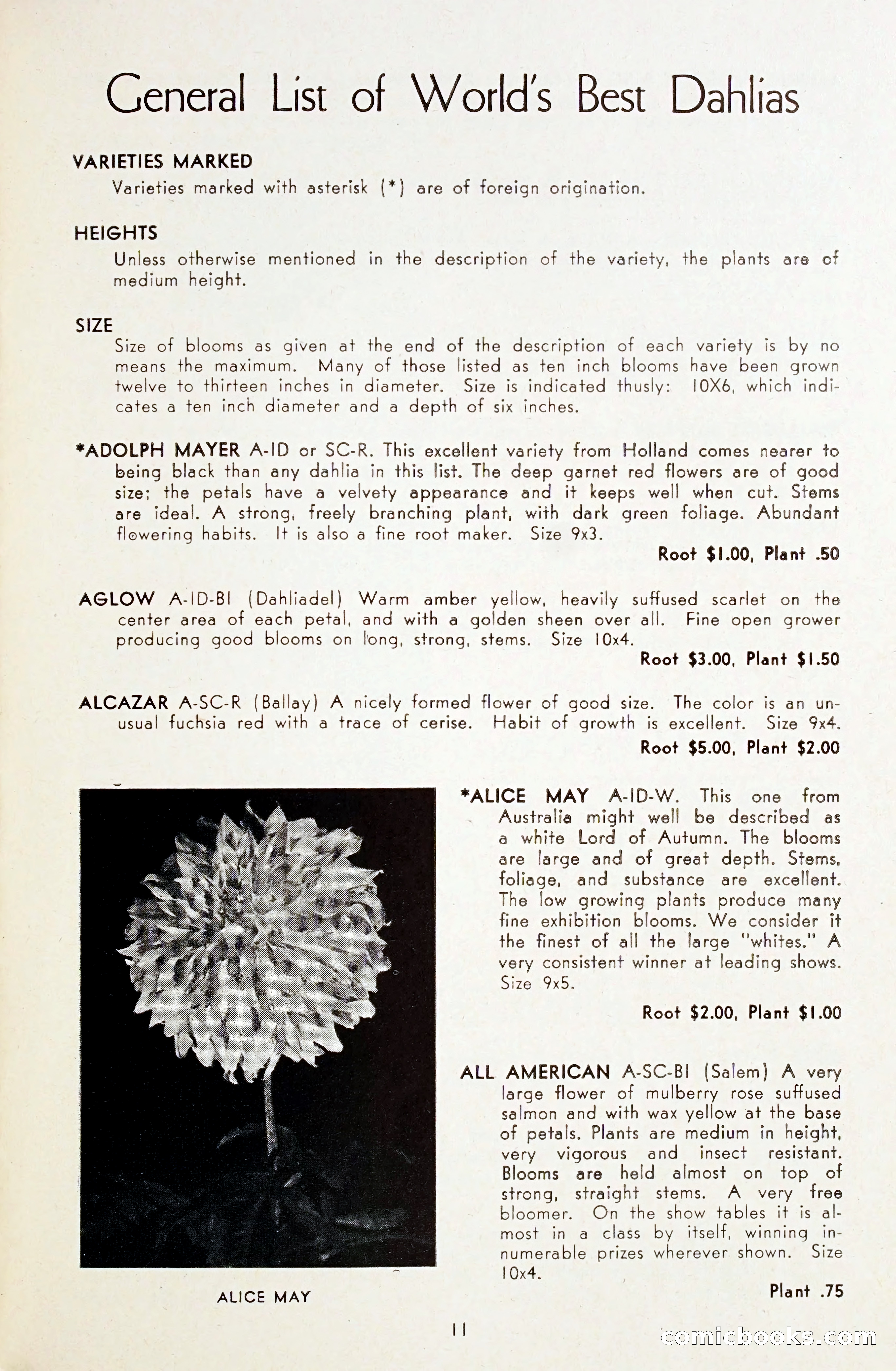 Dahlia Blue Book for 1948 — page 16 of 54