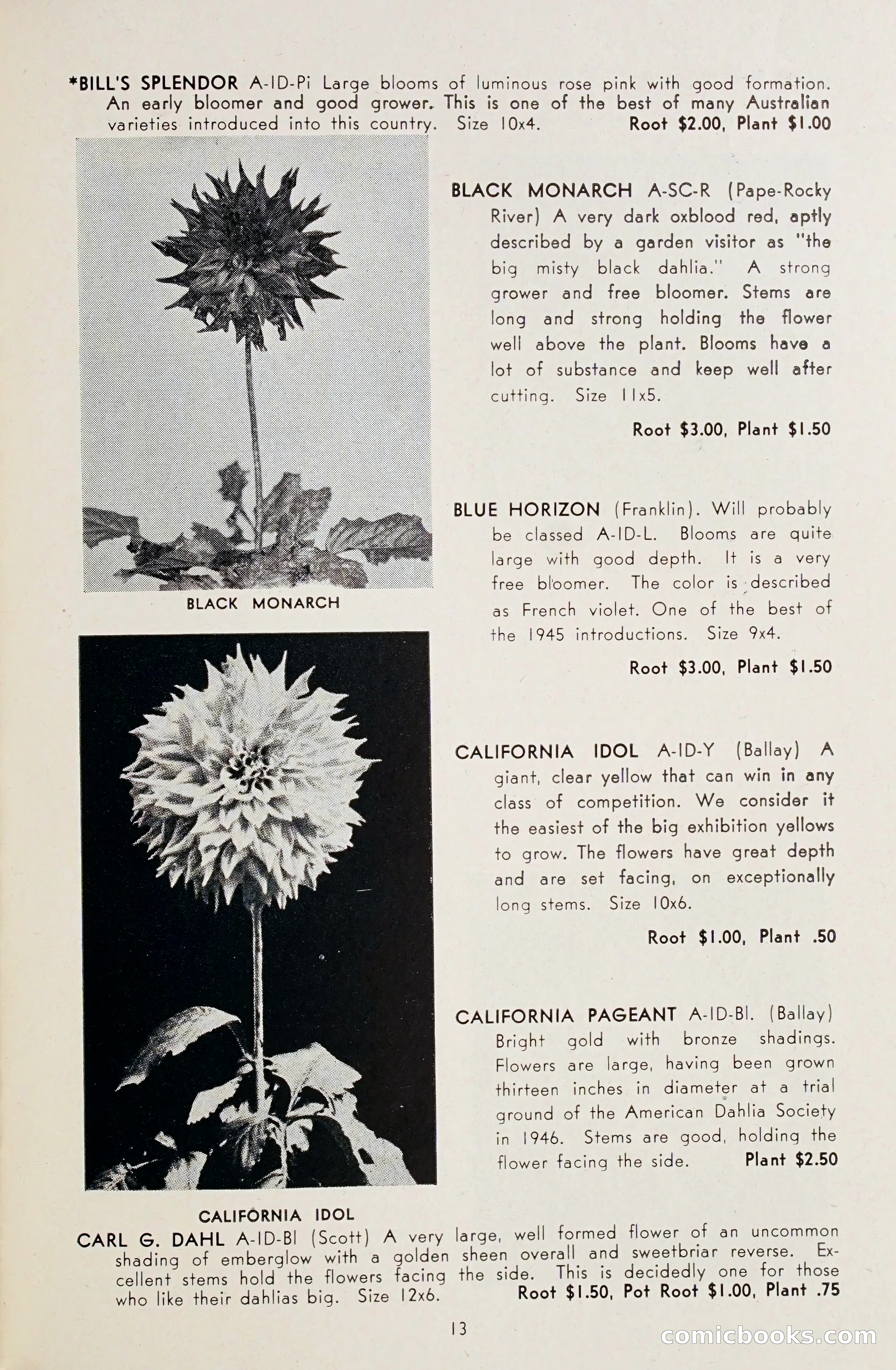 Dahlia Blue Book for 1948 — page 18 of 54