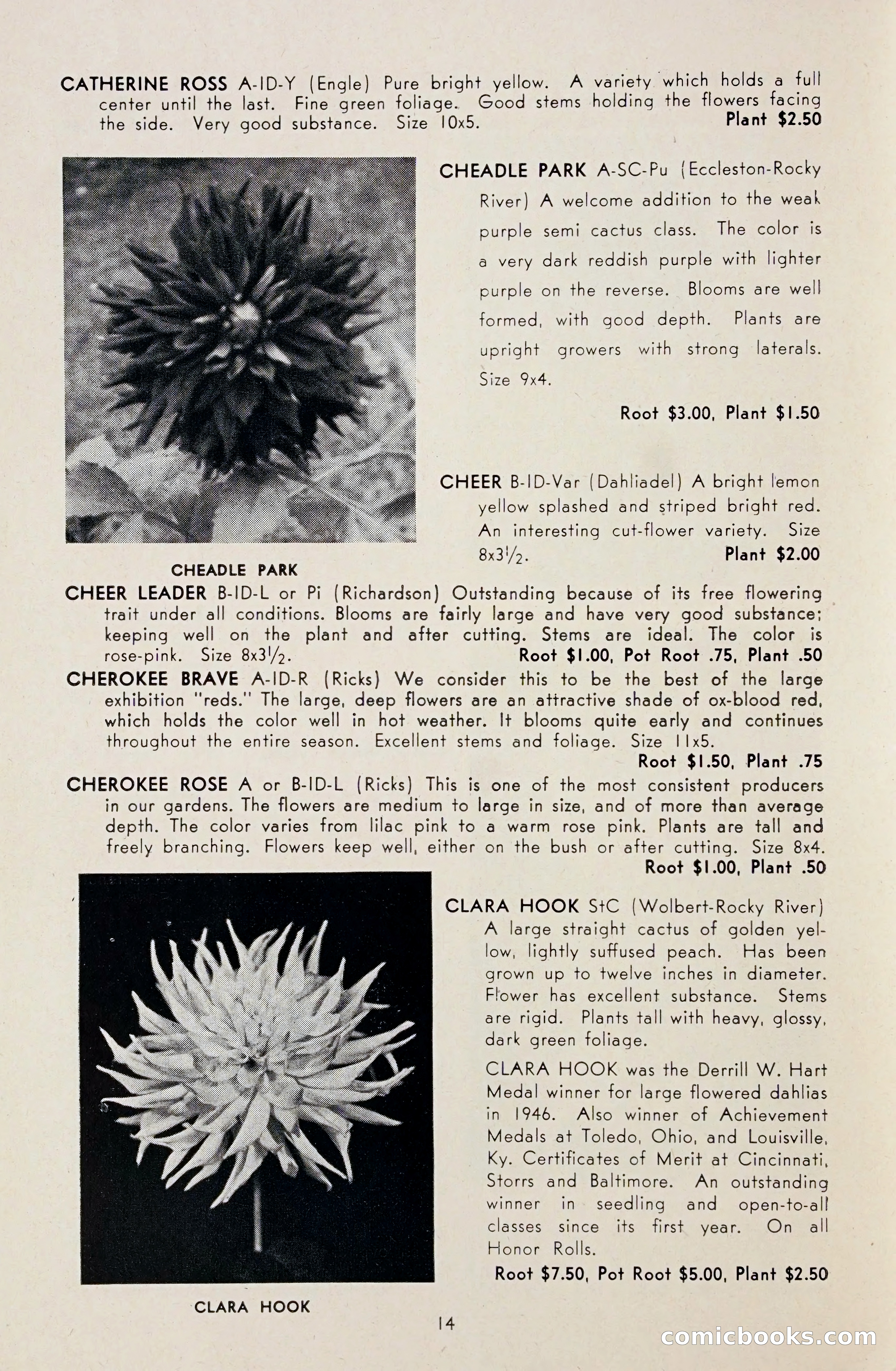 Dahlia Blue Book for 1948 — page 19 of 54