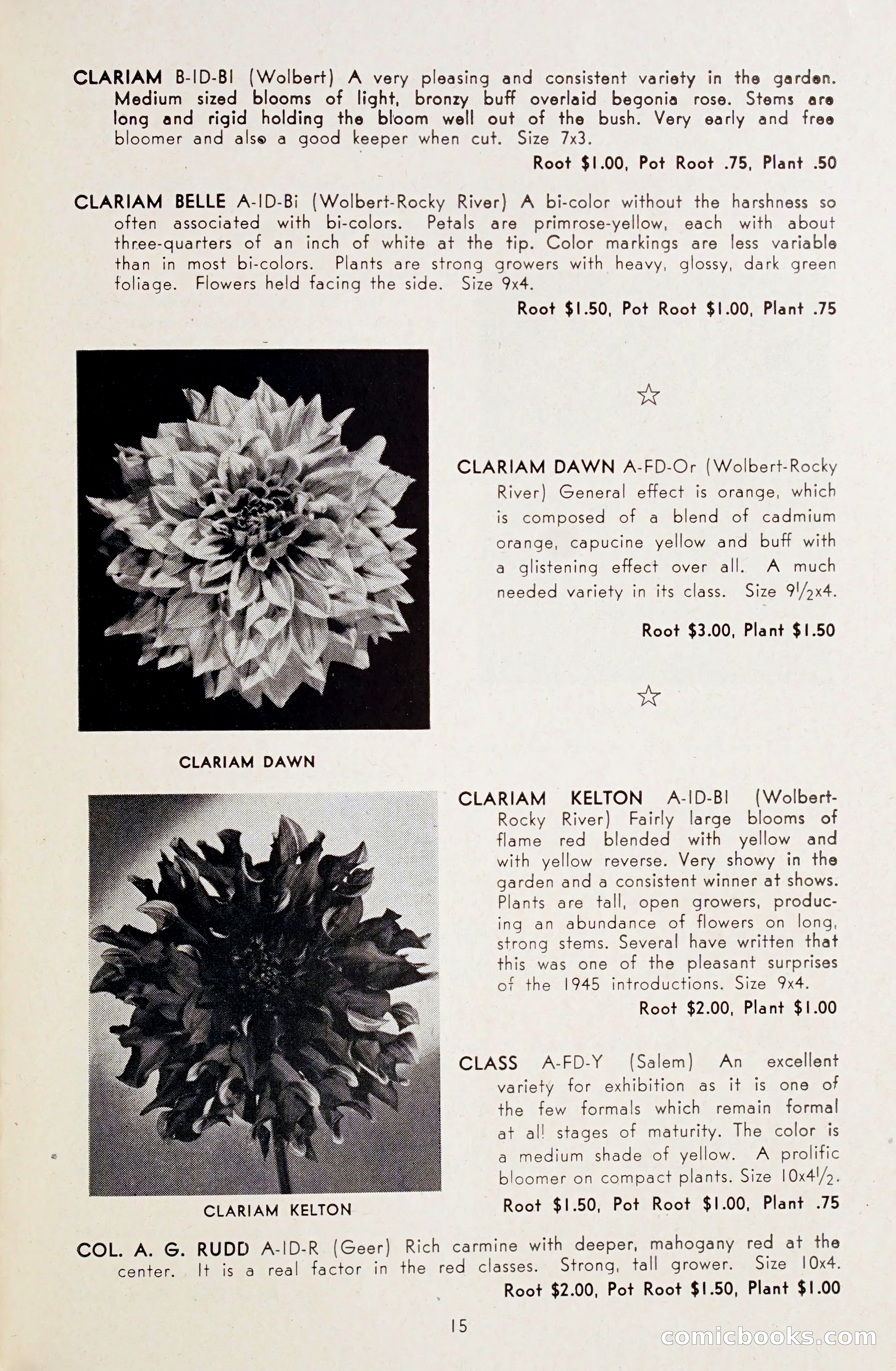Dahlia Blue Book for 1948 — page 20 of 54
