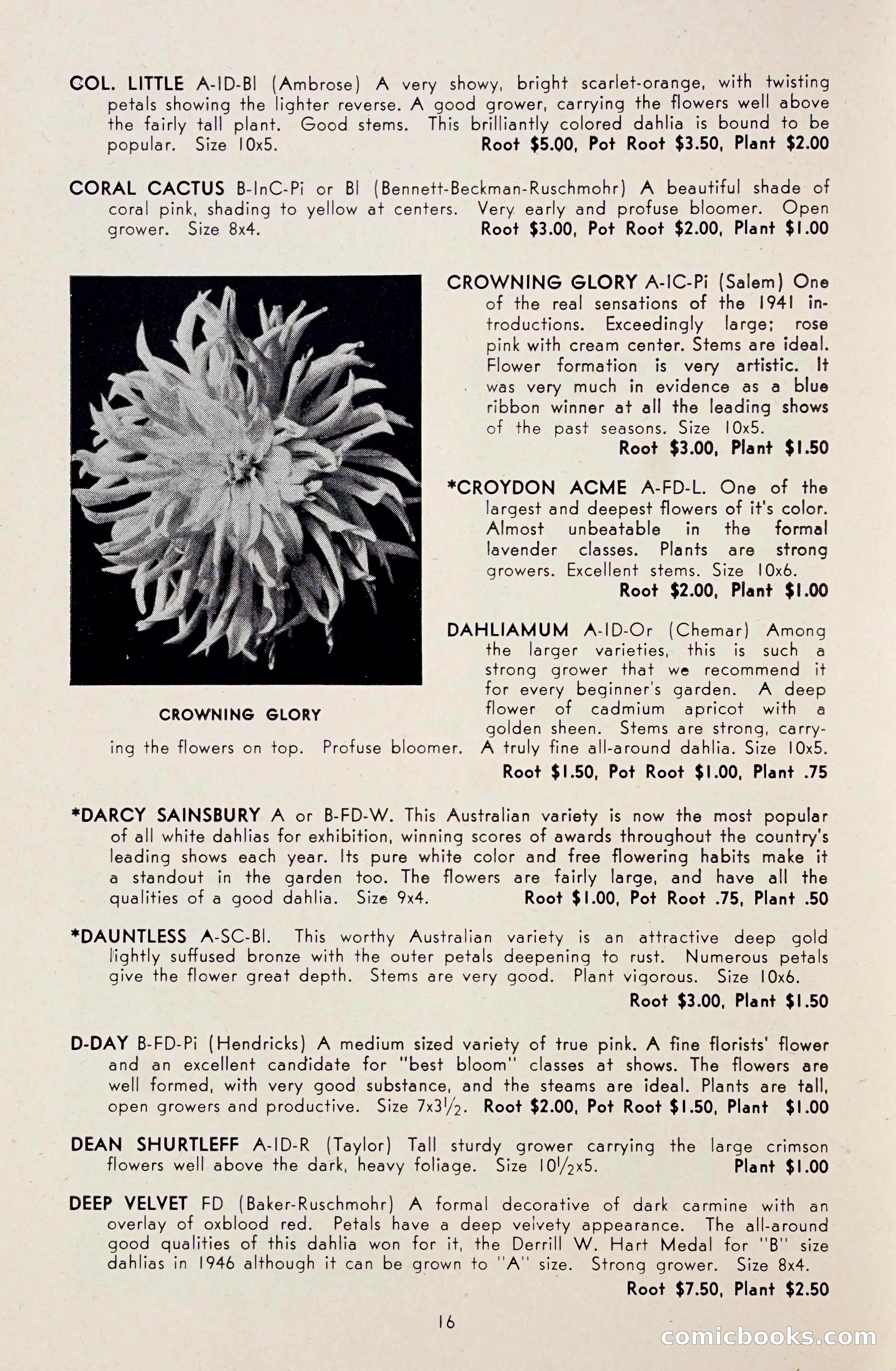 Dahlia Blue Book for 1948 — page 21 of 54