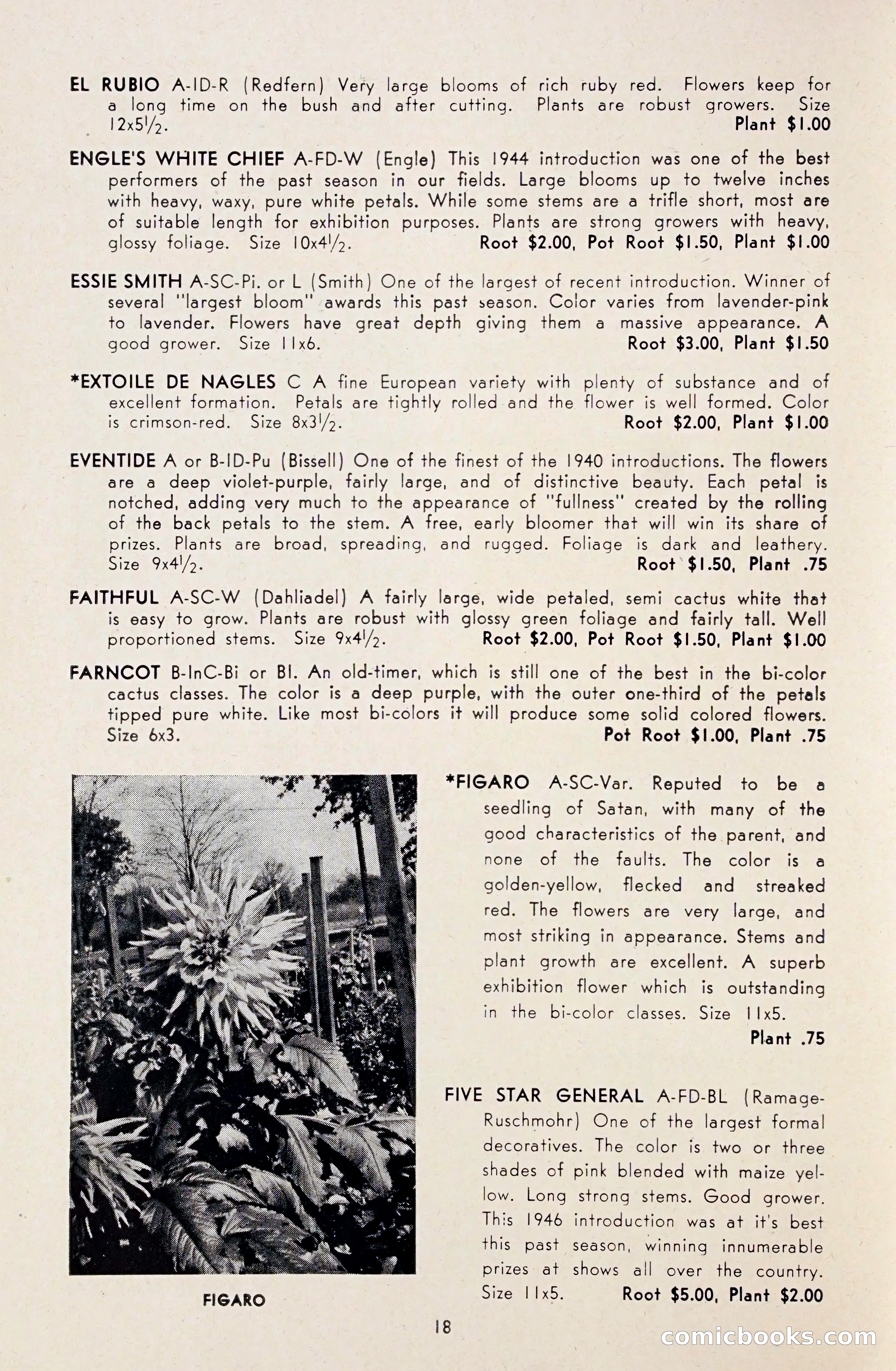 Dahlia Blue Book for 1948 — page 23 of 54