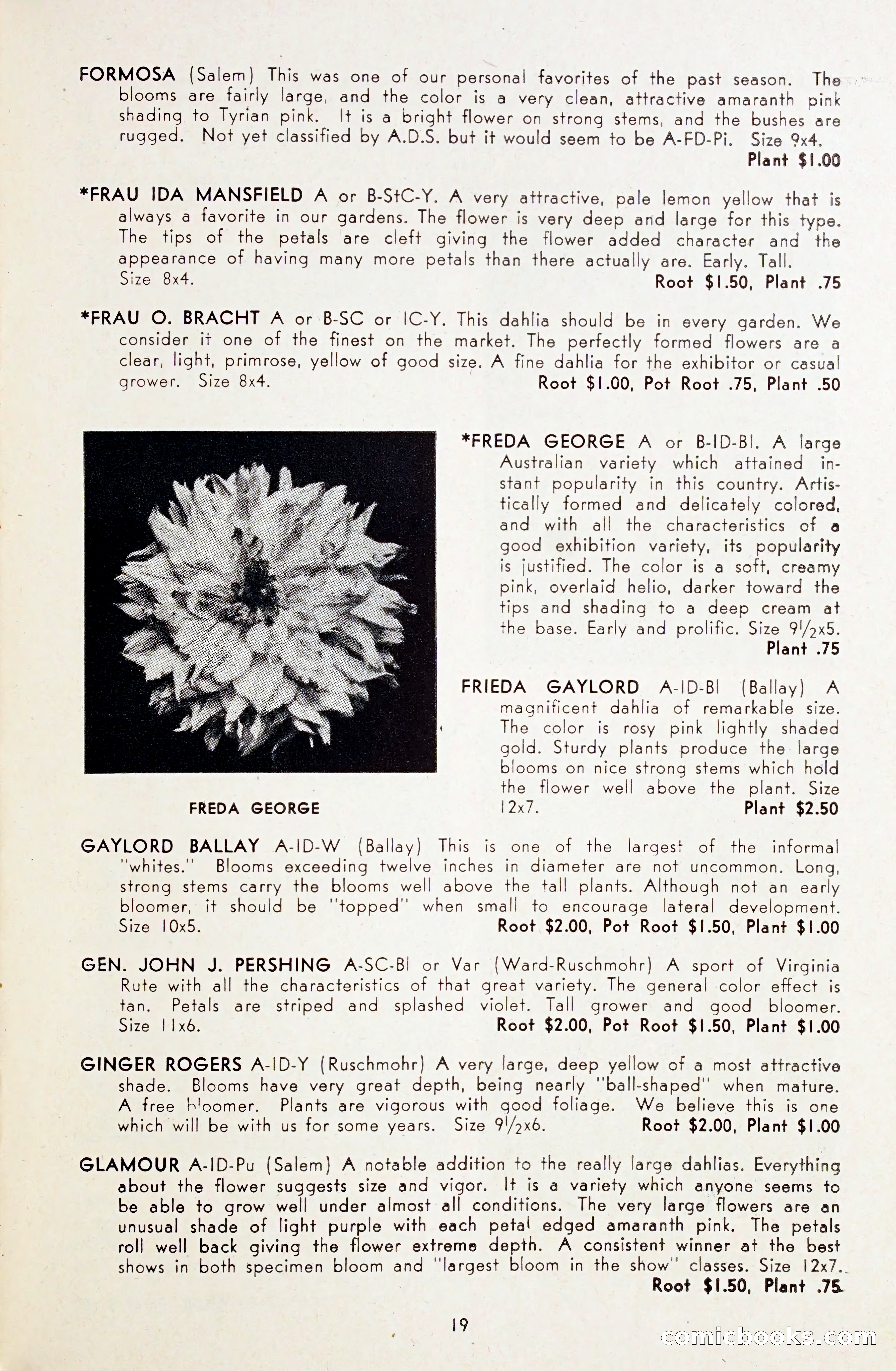 Dahlia Blue Book for 1948 — page 24 of 54
