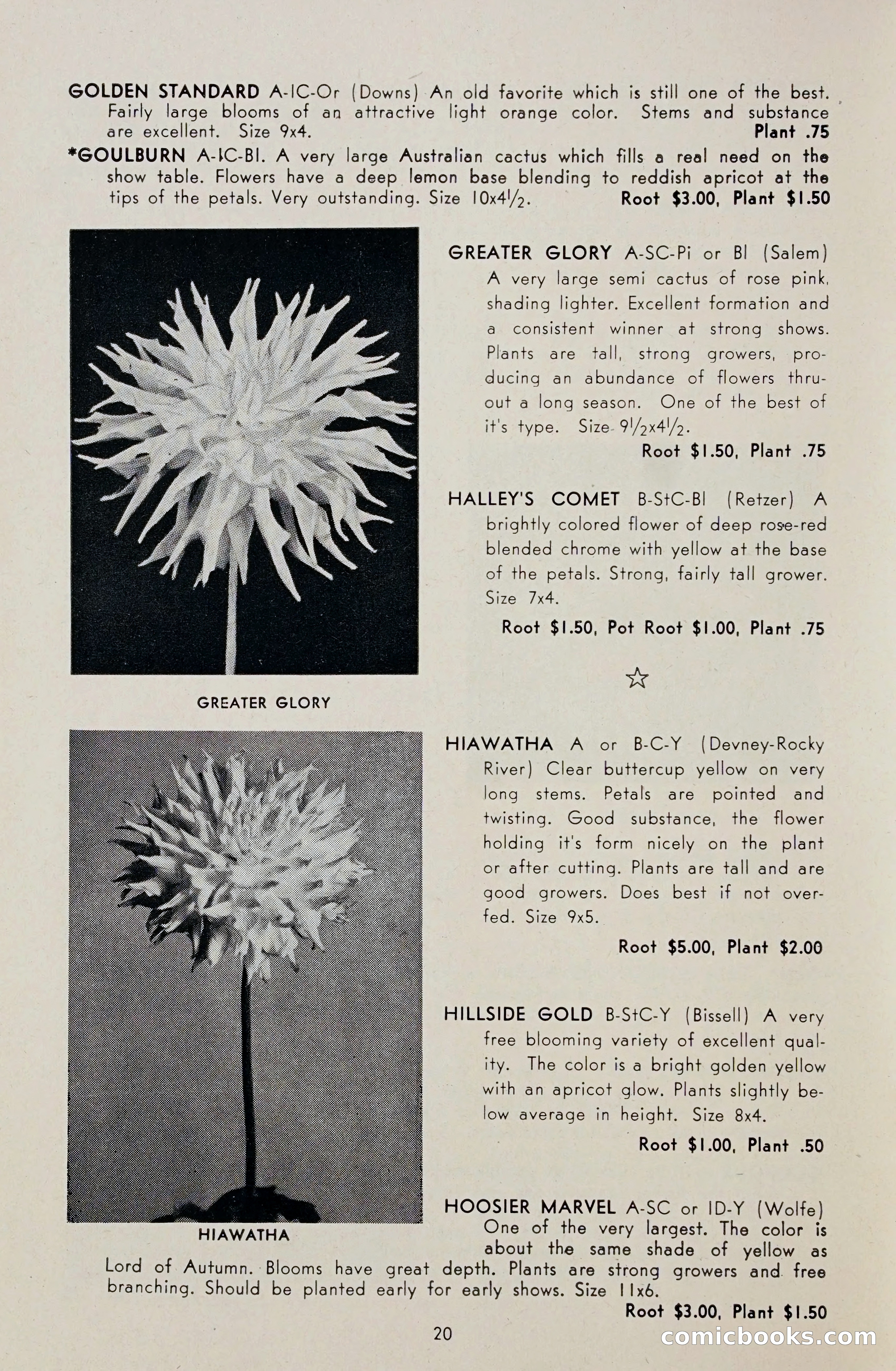 Dahlia Blue Book for 1948 — page 25 of 54