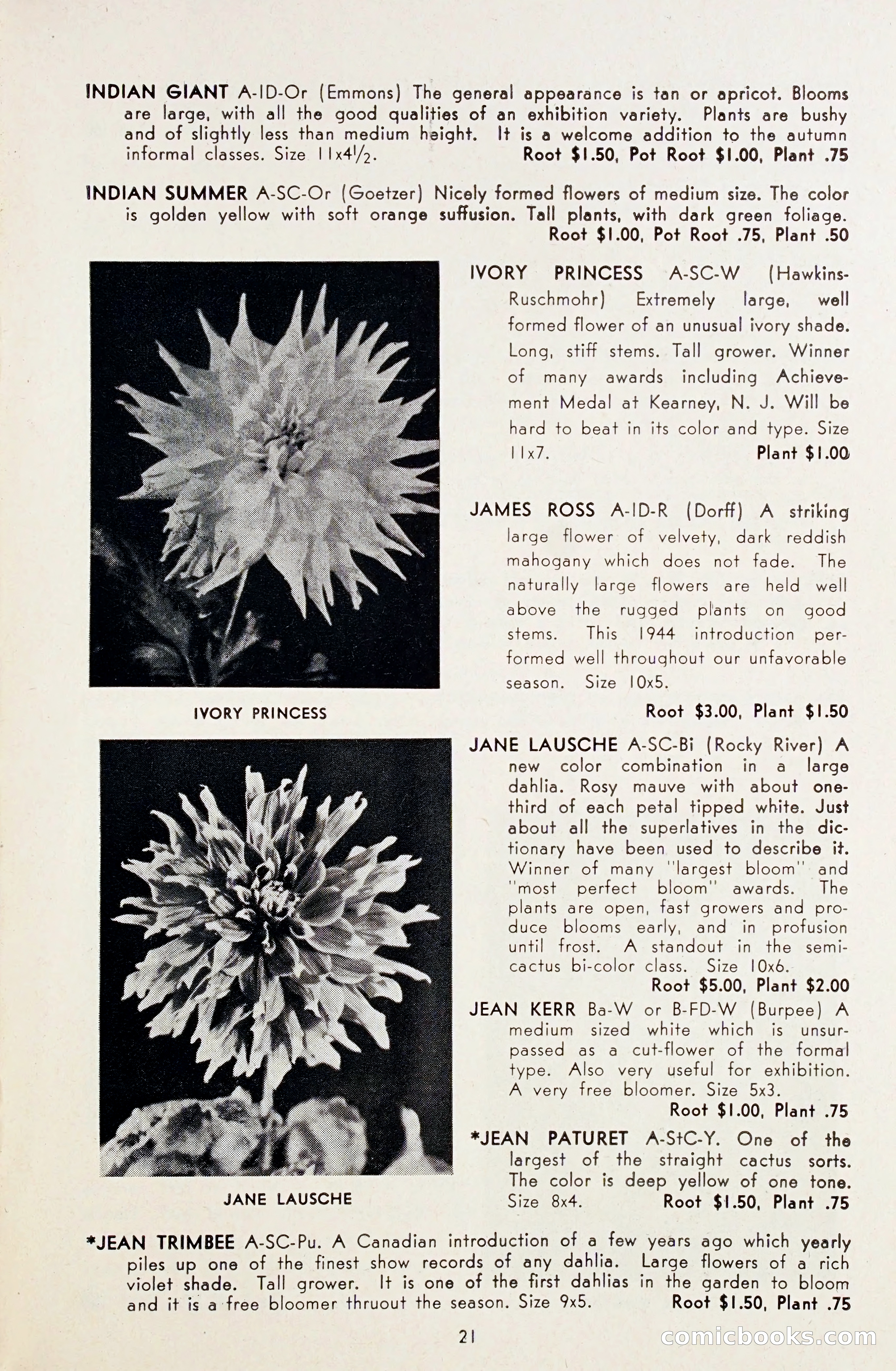 Dahlia Blue Book for 1948 — page 26 of 54