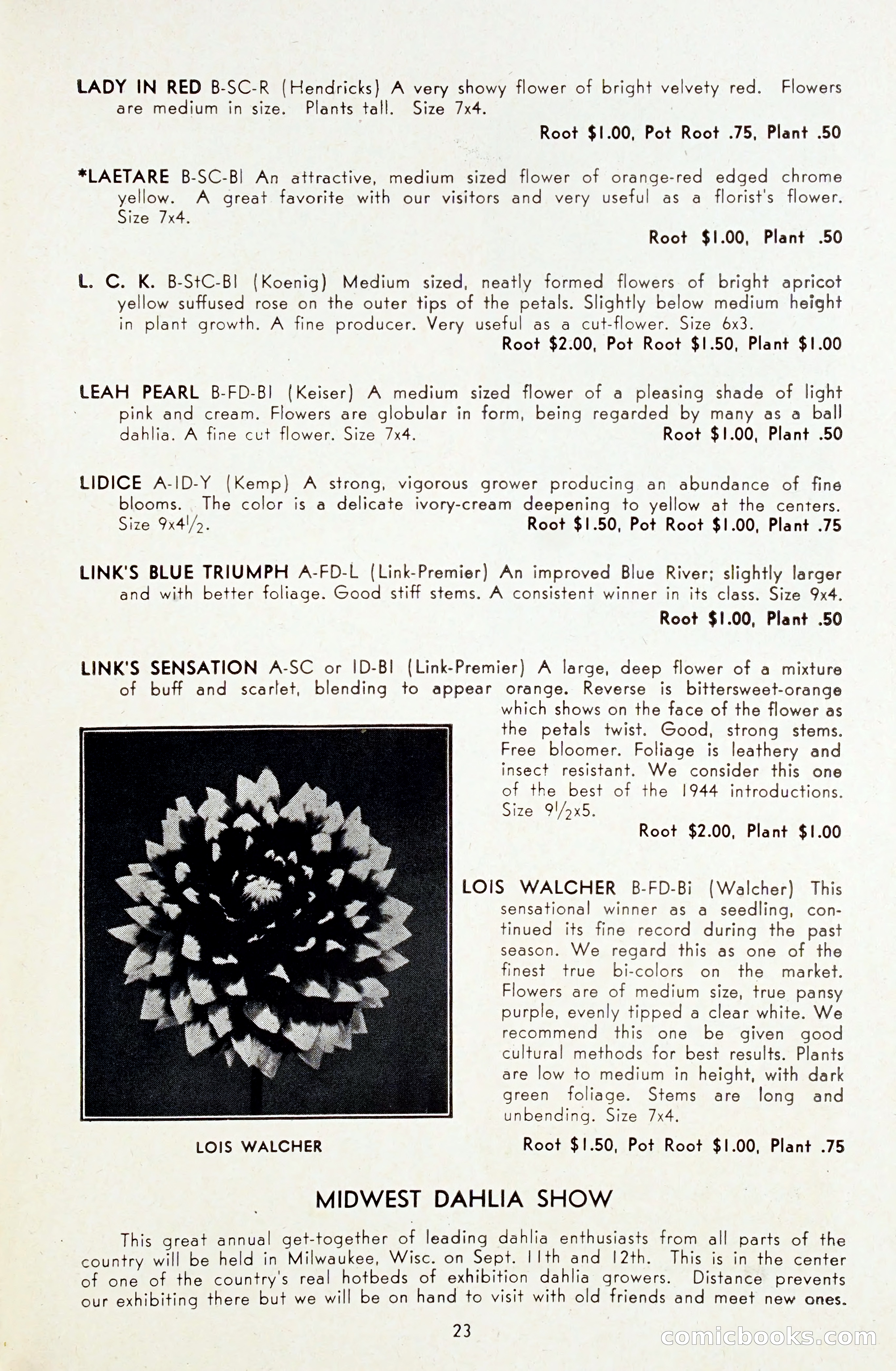 Dahlia Blue Book for 1948 — page 28 of 54