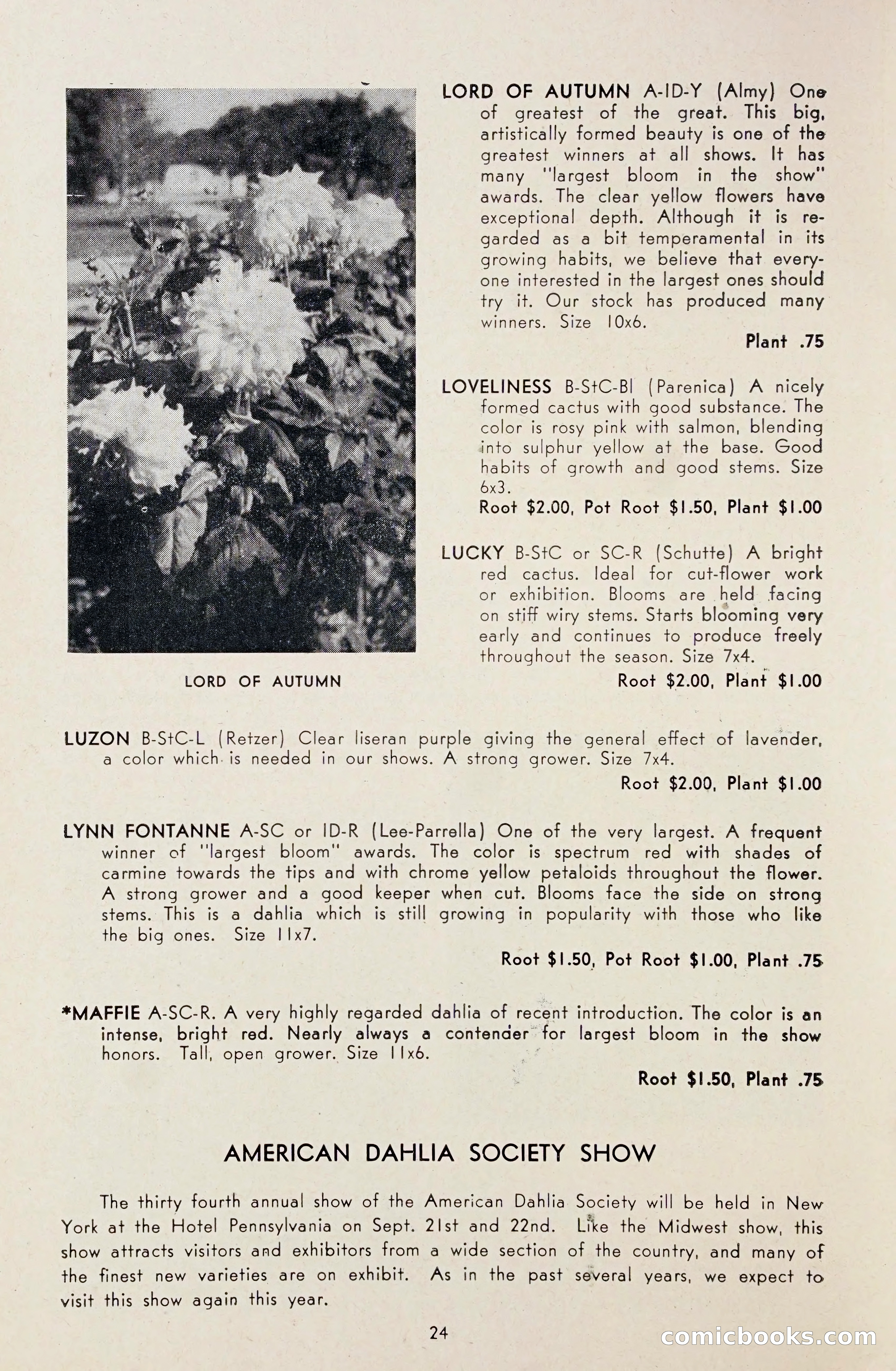 Dahlia Blue Book for 1948 — page 29 of 54