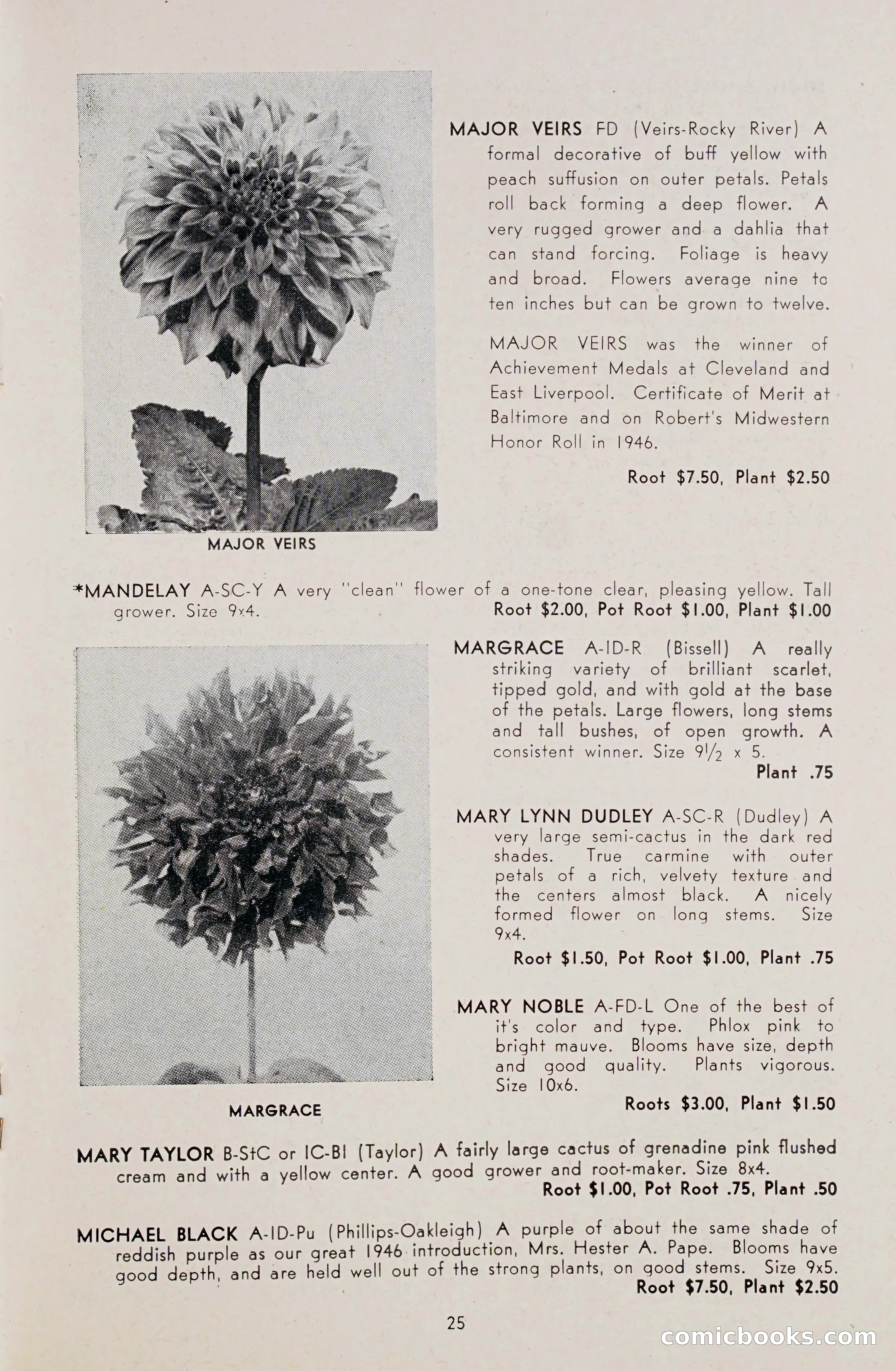 Dahlia Blue Book for 1948 — page 30 of 54