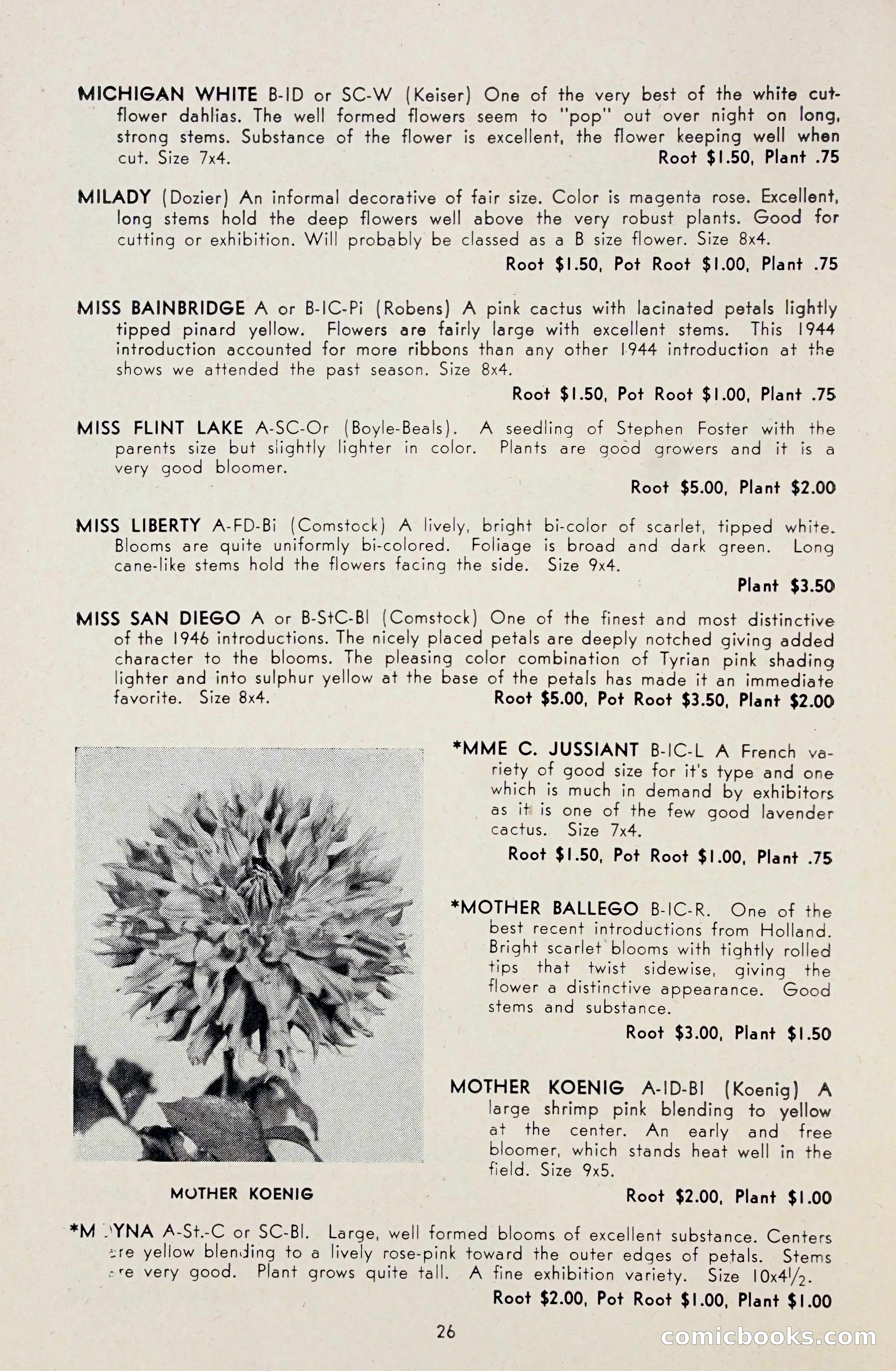 Dahlia Blue Book for 1948 — page 31 of 54