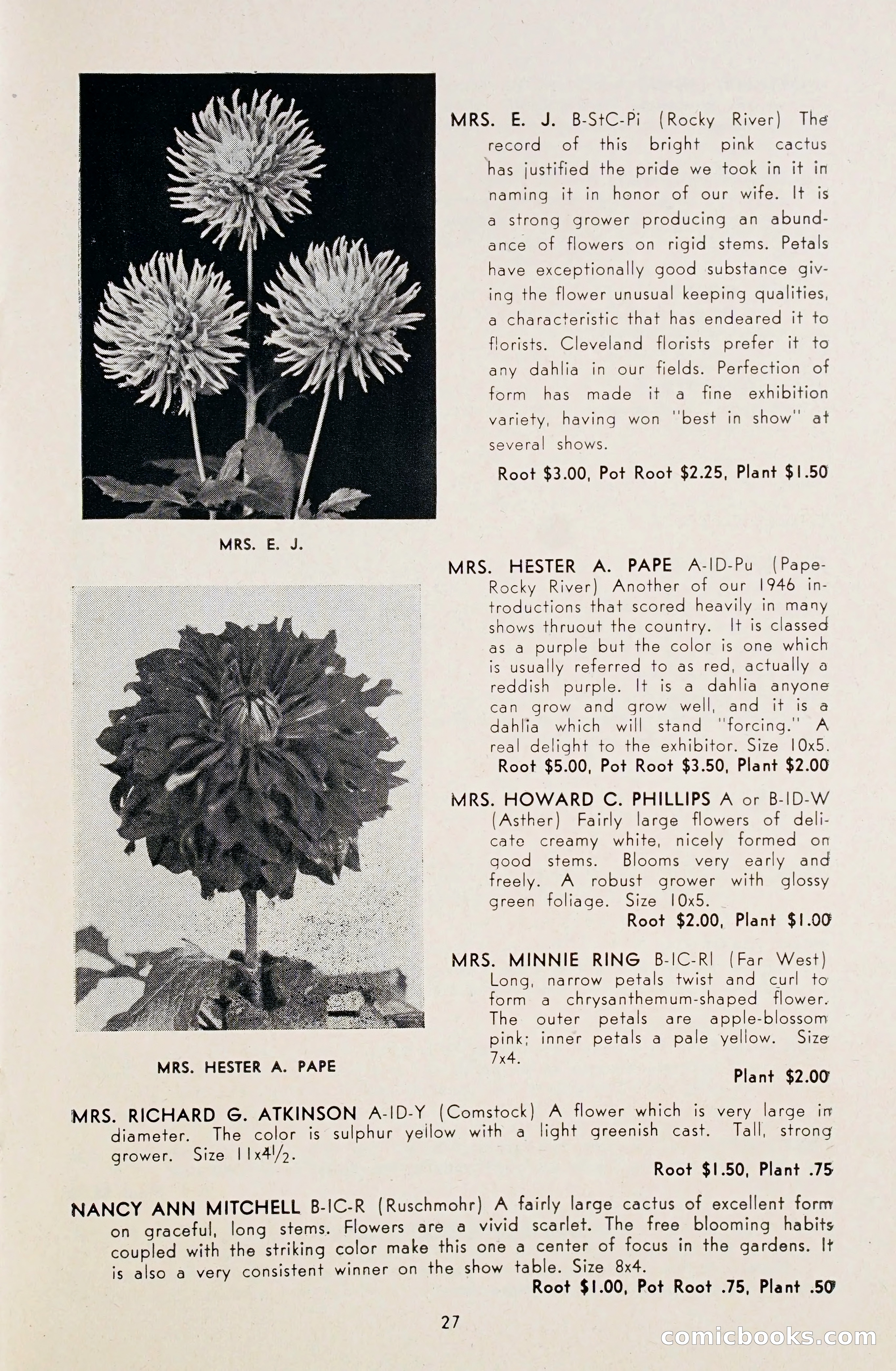 Dahlia Blue Book for 1948 — page 32 of 54