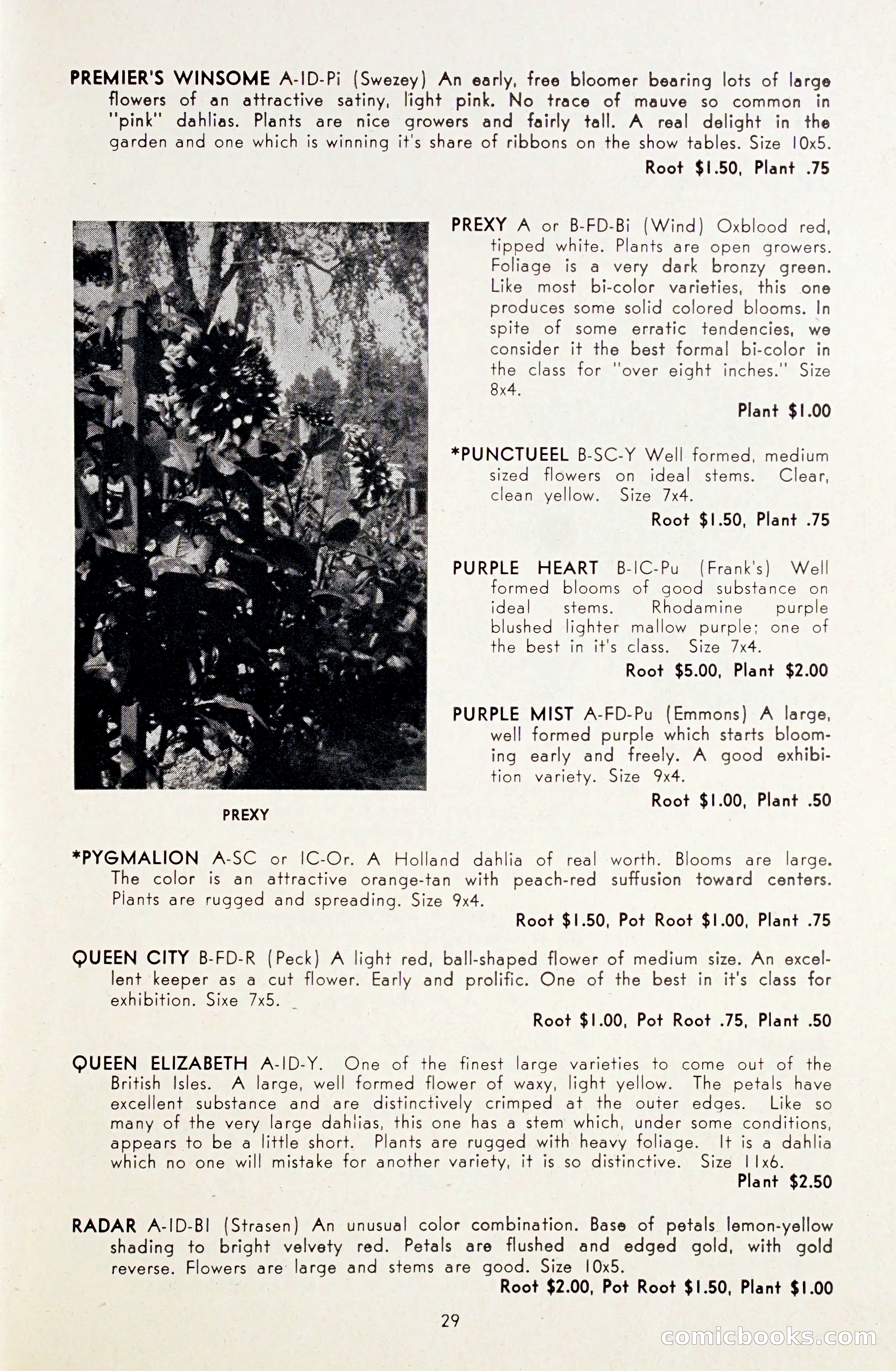 Dahlia Blue Book for 1948 — page 34 of 54