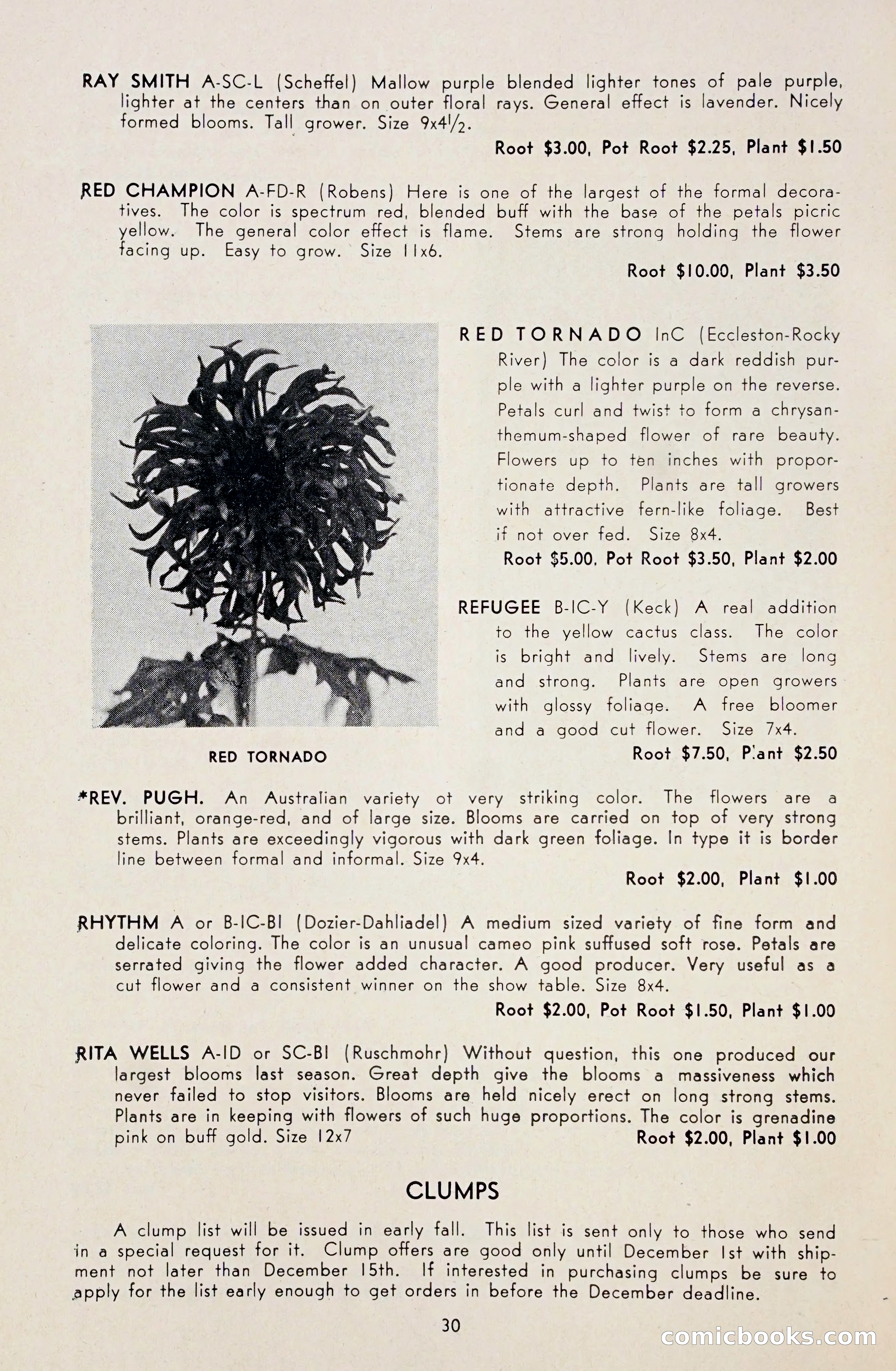 Dahlia Blue Book for 1948 — page 35 of 54