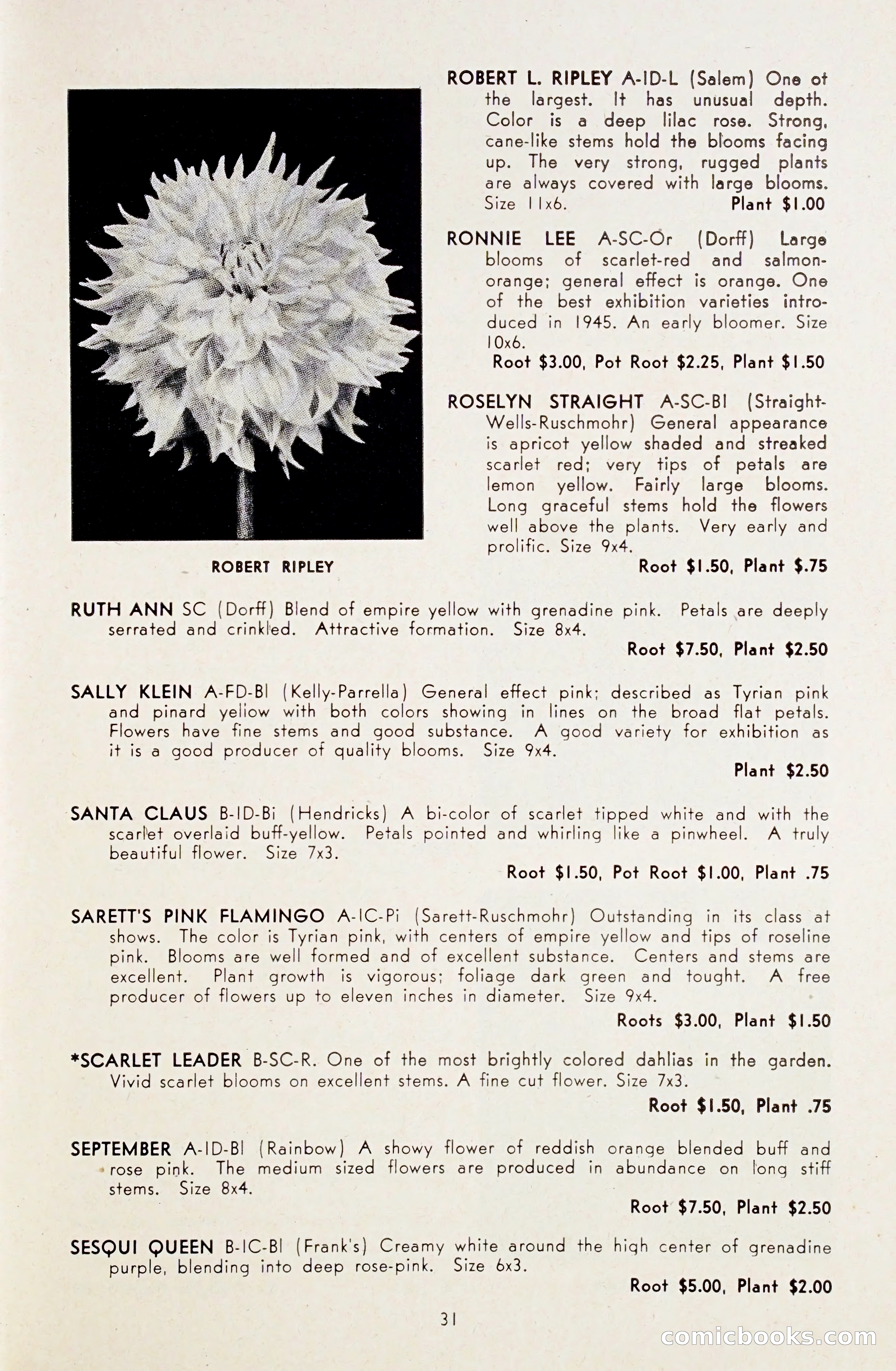 Dahlia Blue Book for 1948 — page 36 of 54