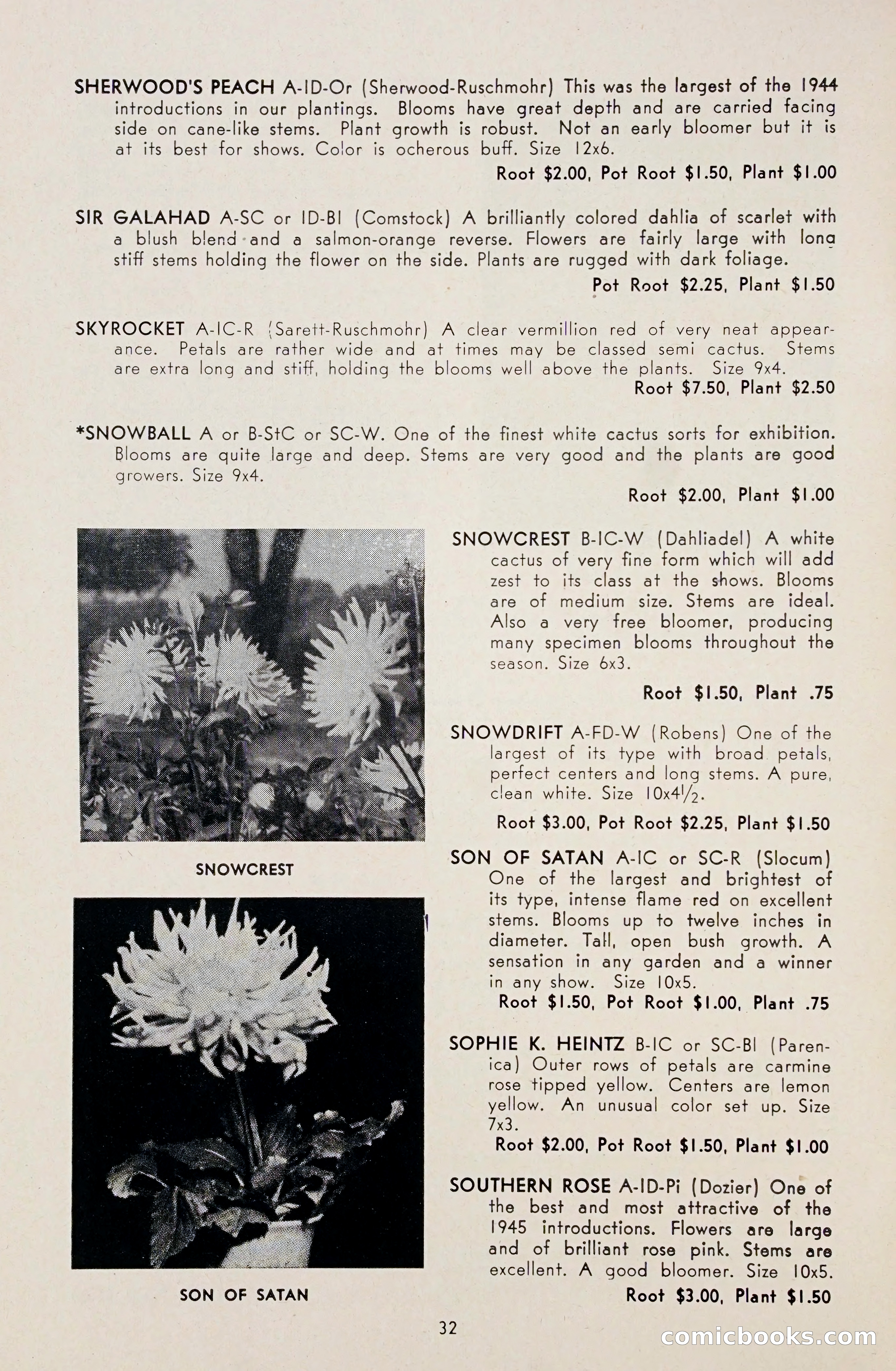 Dahlia Blue Book for 1948 — page 37 of 54