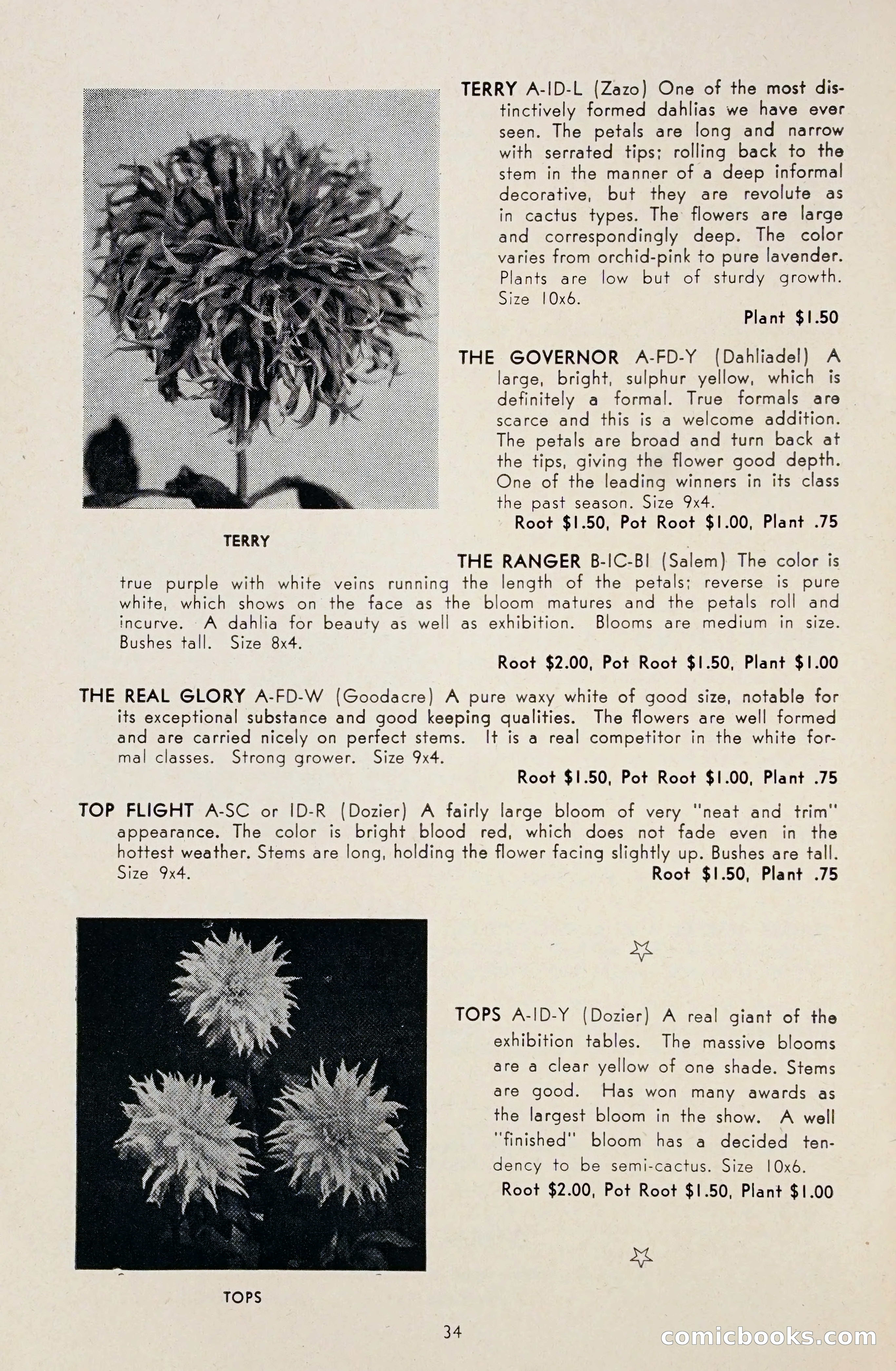 Dahlia Blue Book for 1948 — page 39 of 54